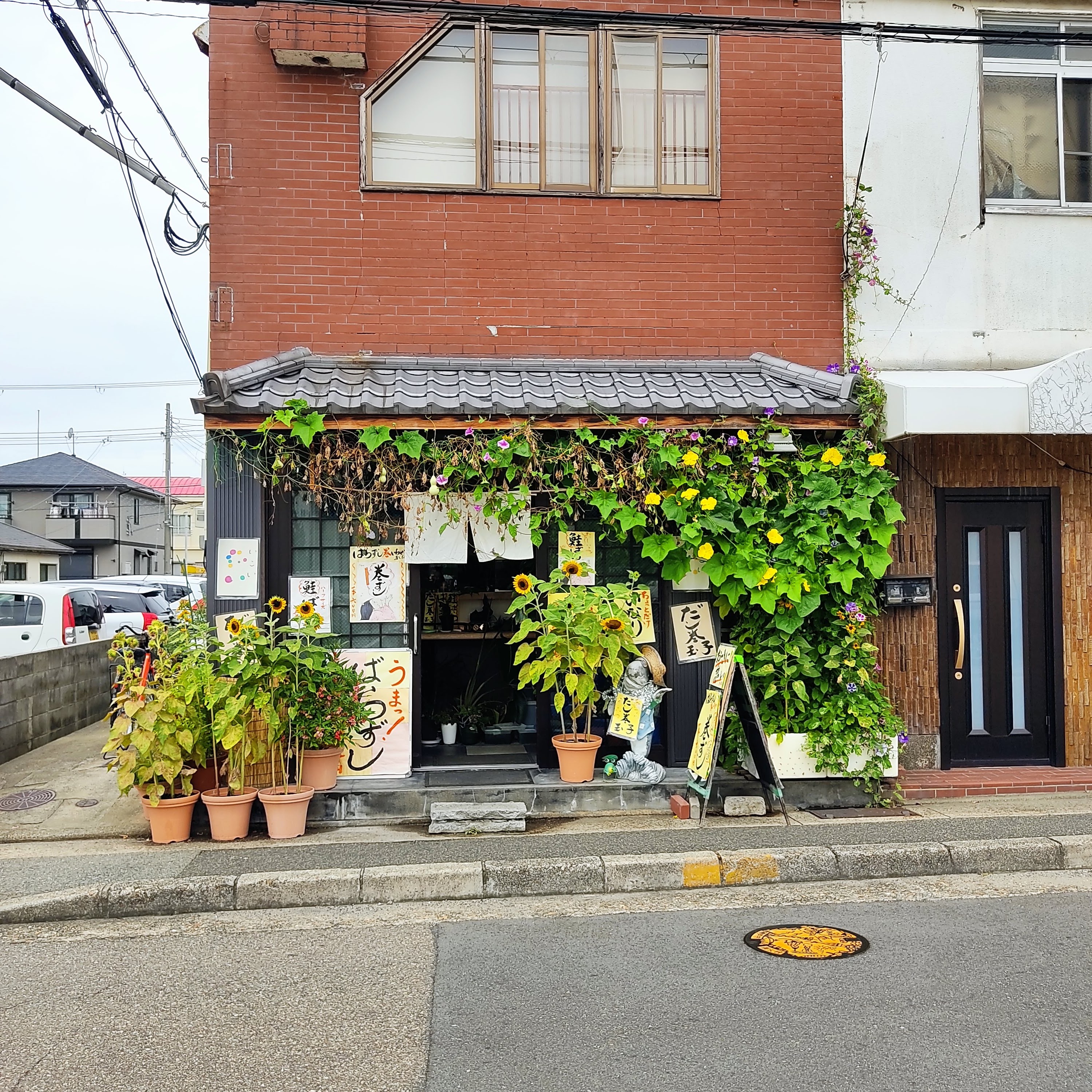 Sushi Yoshi의 대표사진