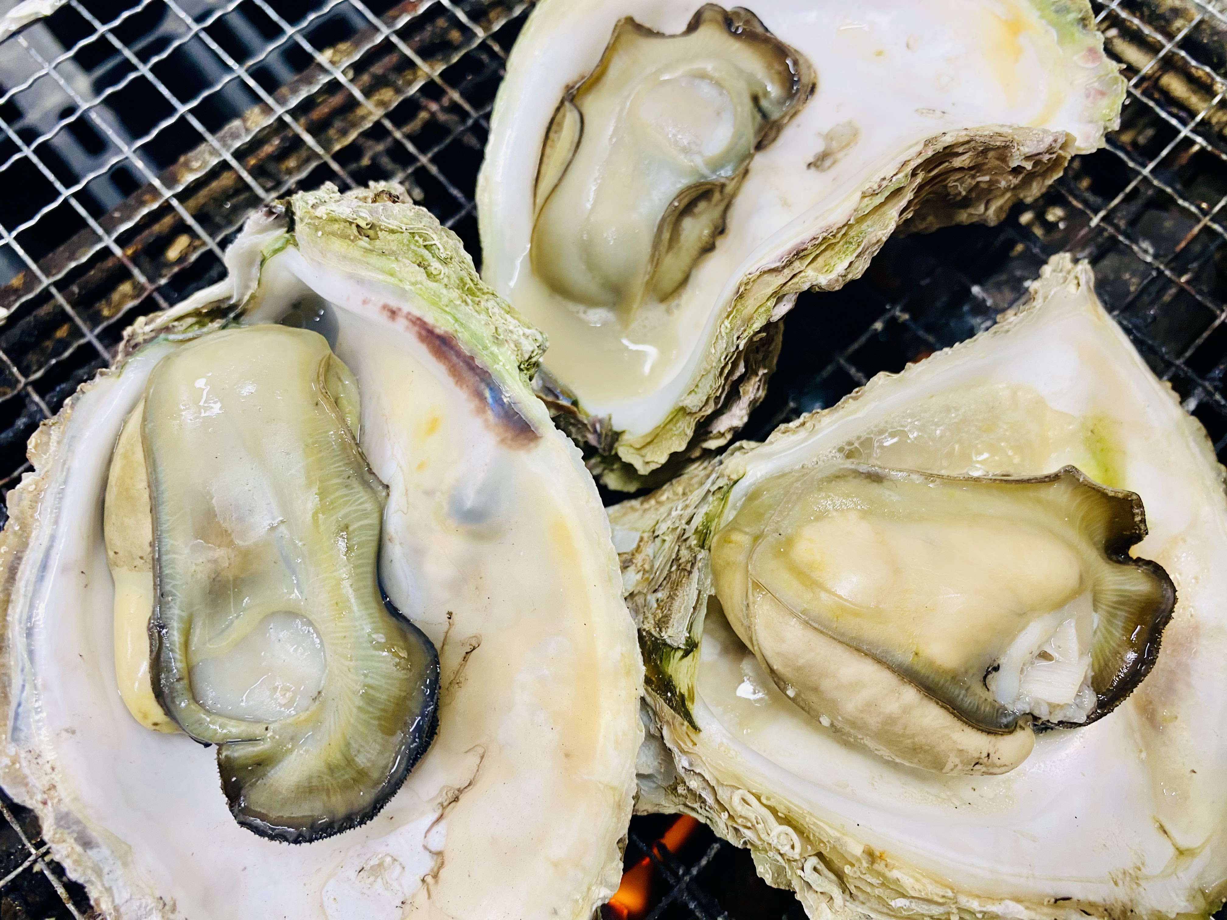 かき道楽 菊陽本店의 대표사진