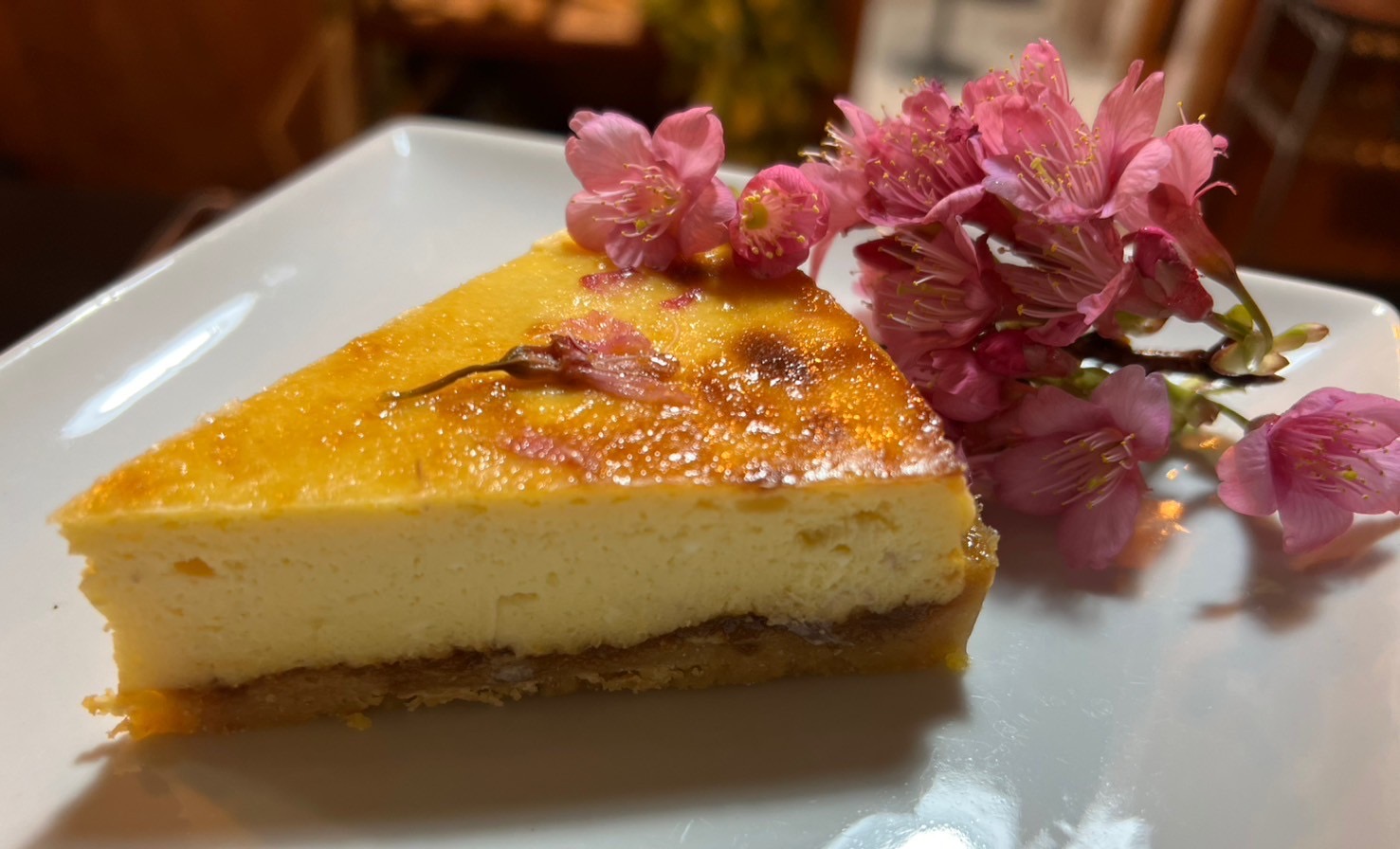 antyna AMAMI의 대표사진