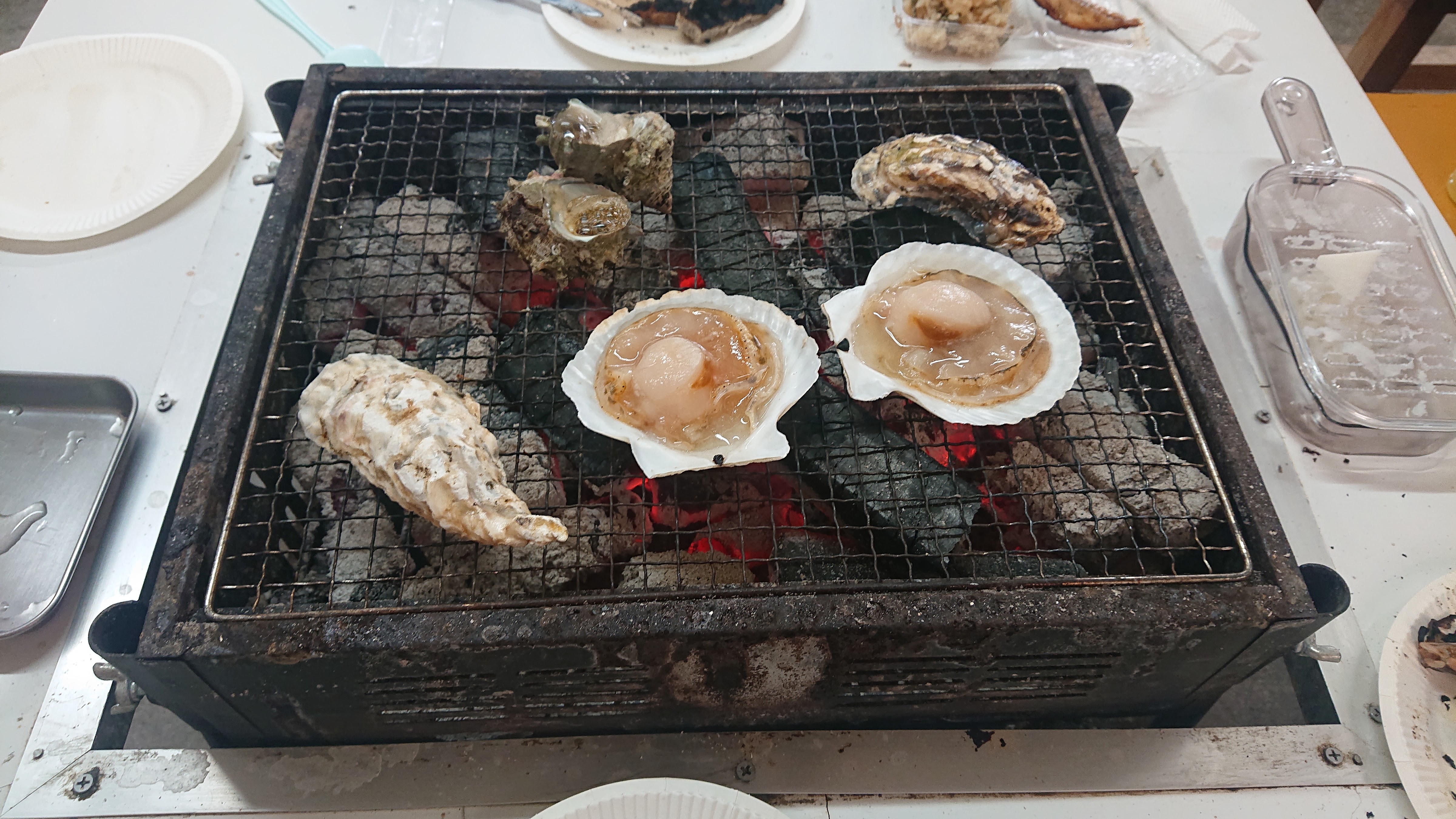 Kyokusei의 대표사진