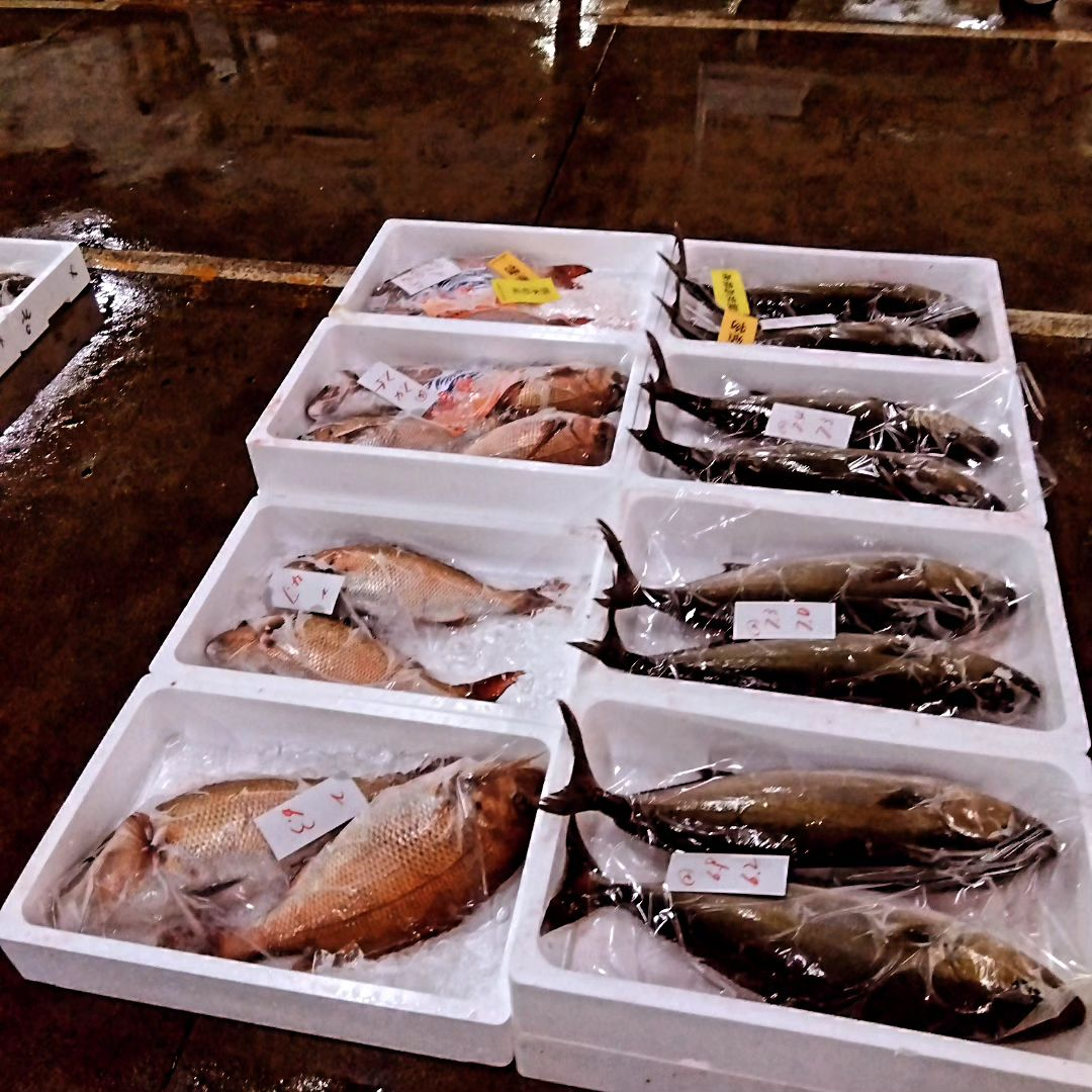 Suehiro의 대표 이미지