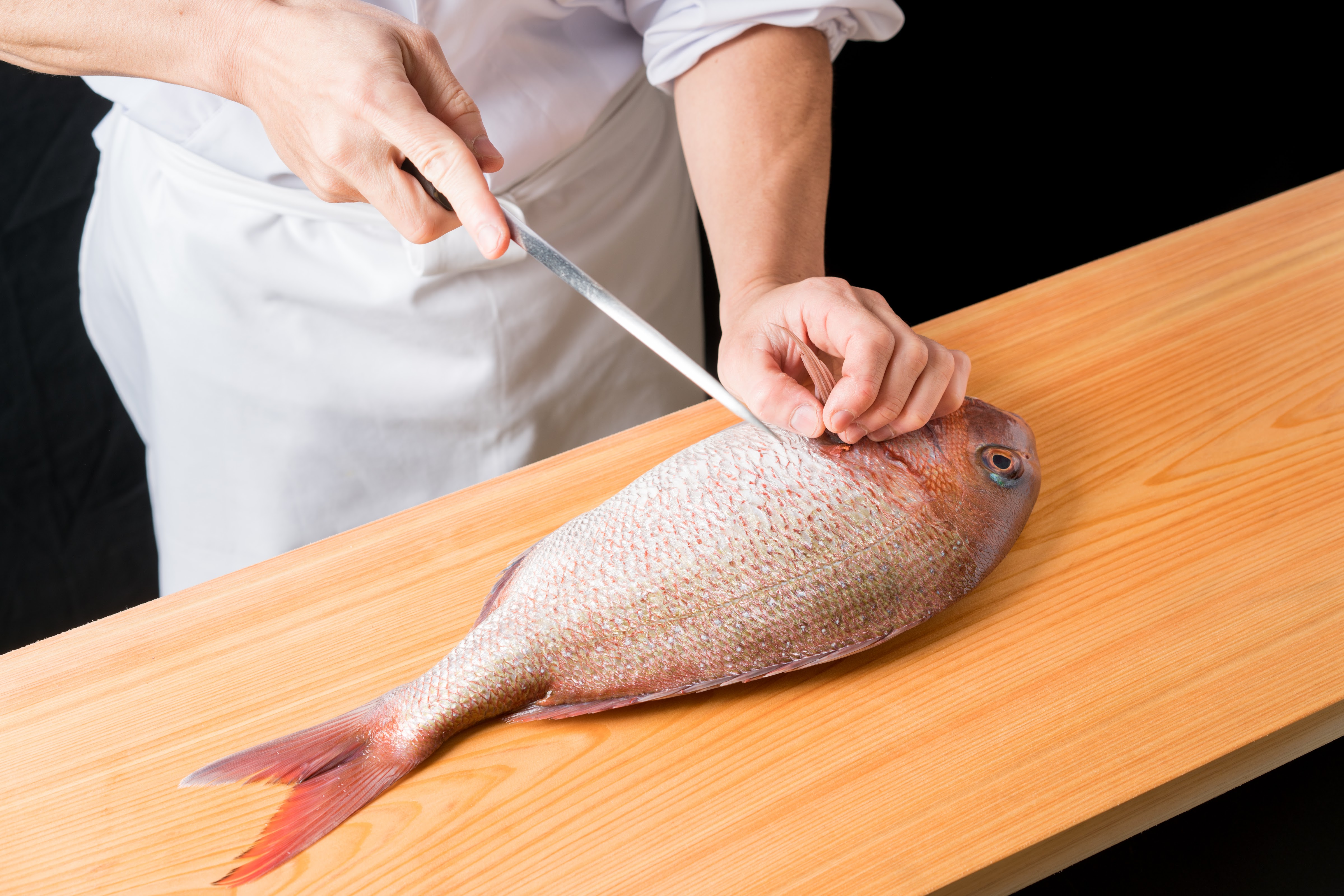 랑쿠jp 음식점-鯛せん의 대표이미지