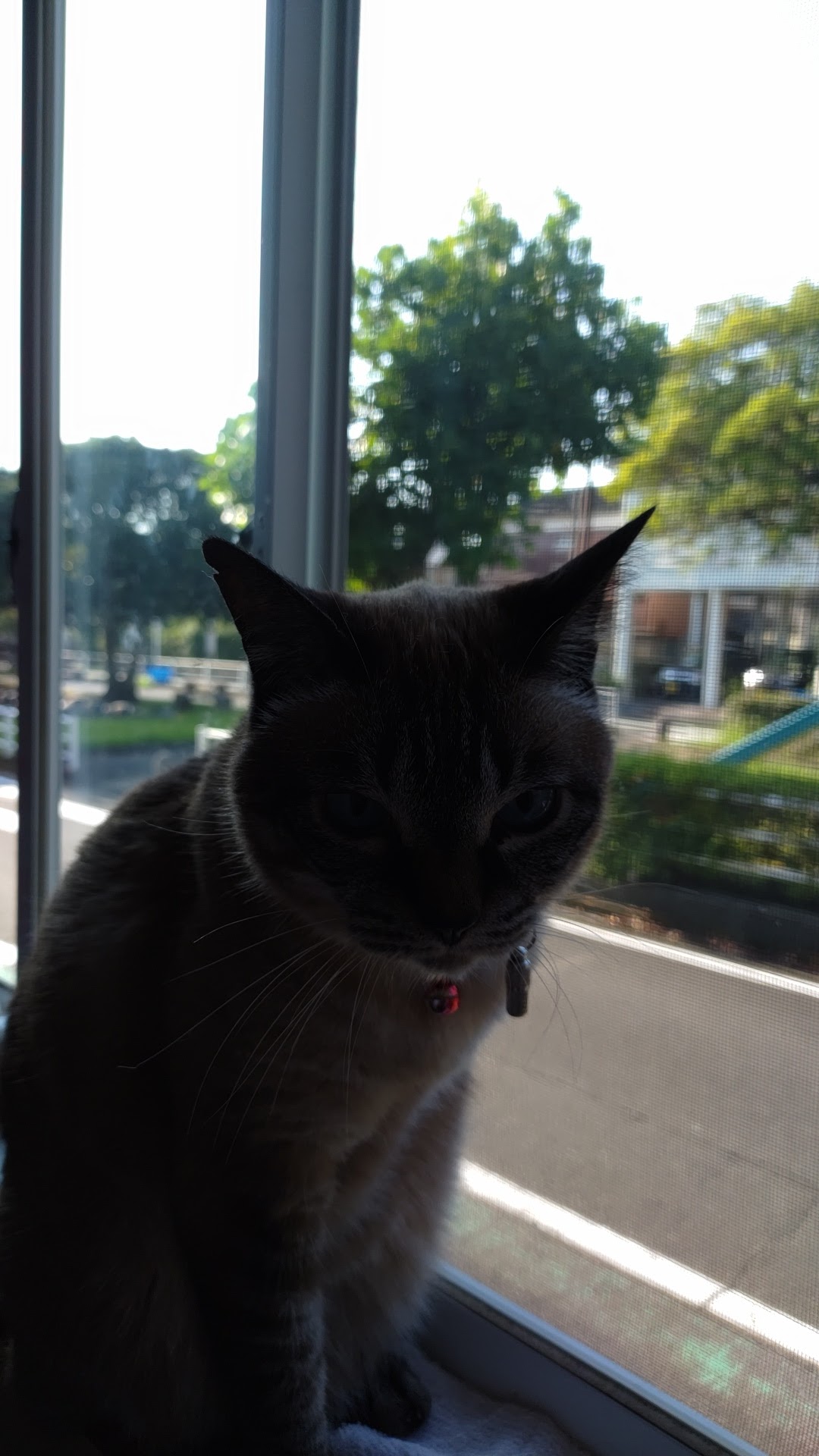 랑쿠jp 음식점-尚의 대표이미지