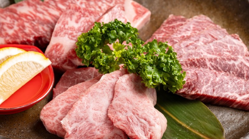 엔엔의 대표사진