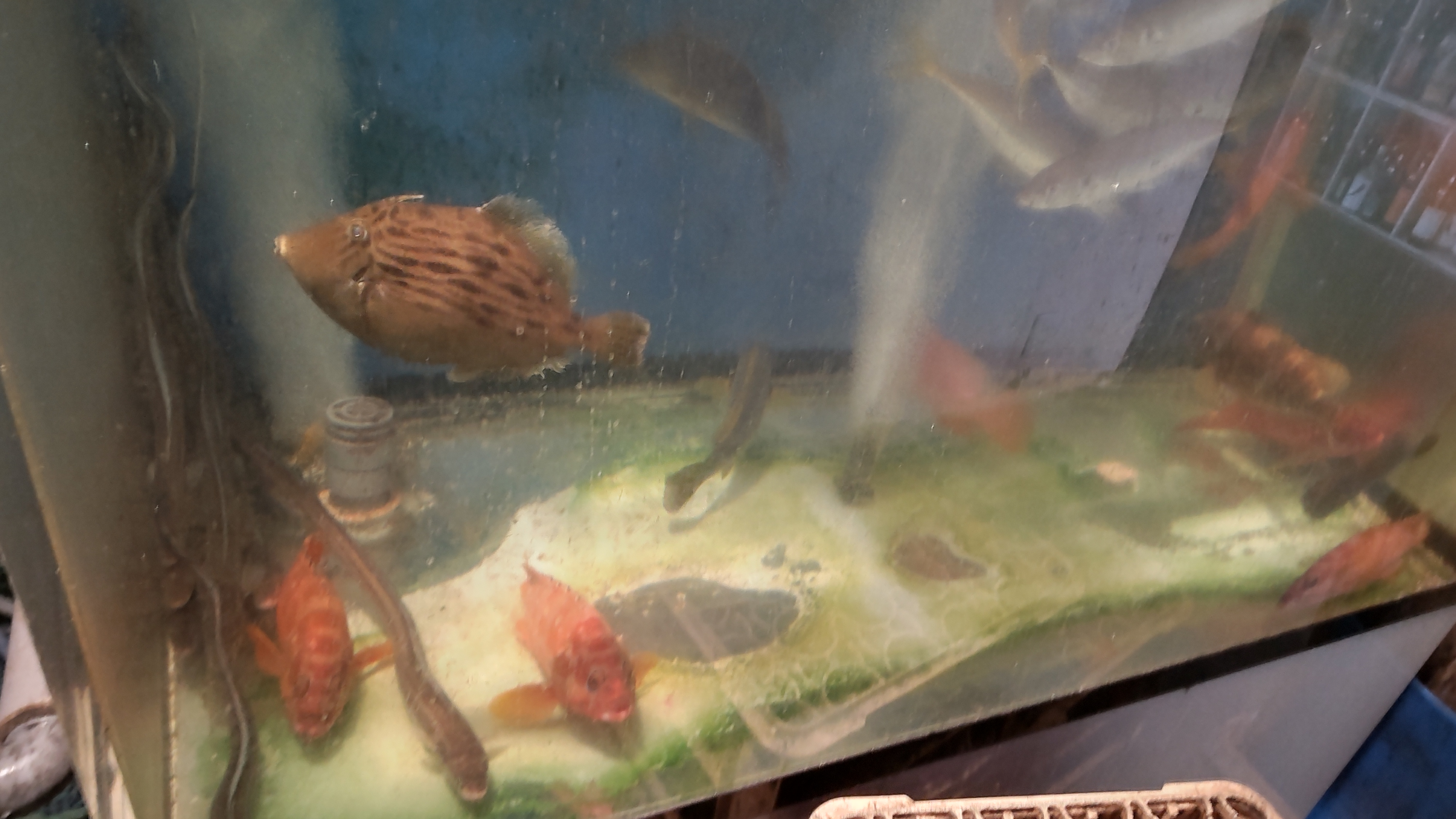 Ishitoku의 대표사진