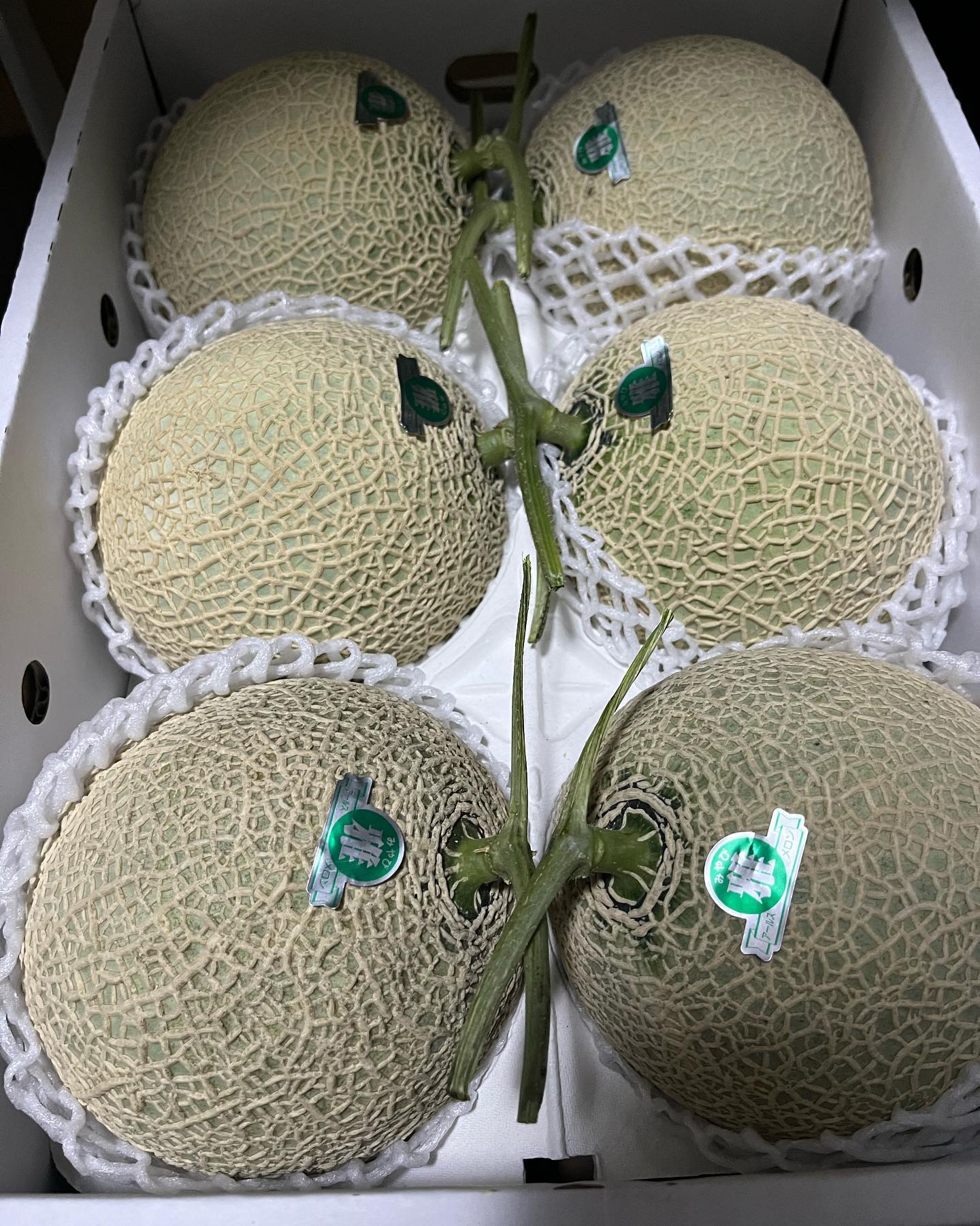 千代茶屋의 대표사진