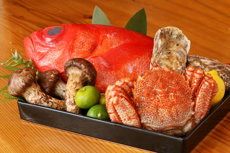 Iwashi의 대표사진