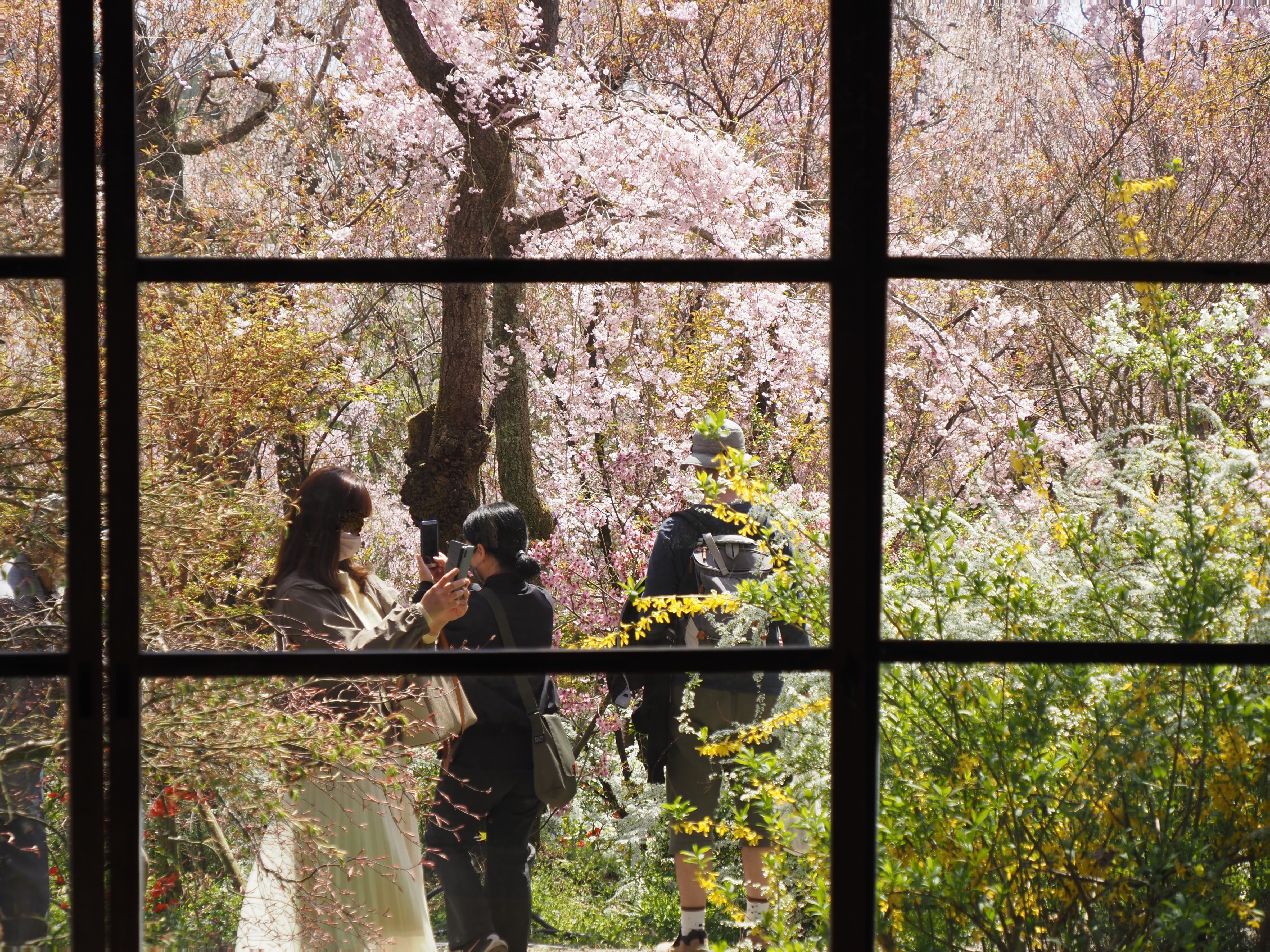 랑쿠jp 음식점-原谷苑 桟敷席의 대표이미지