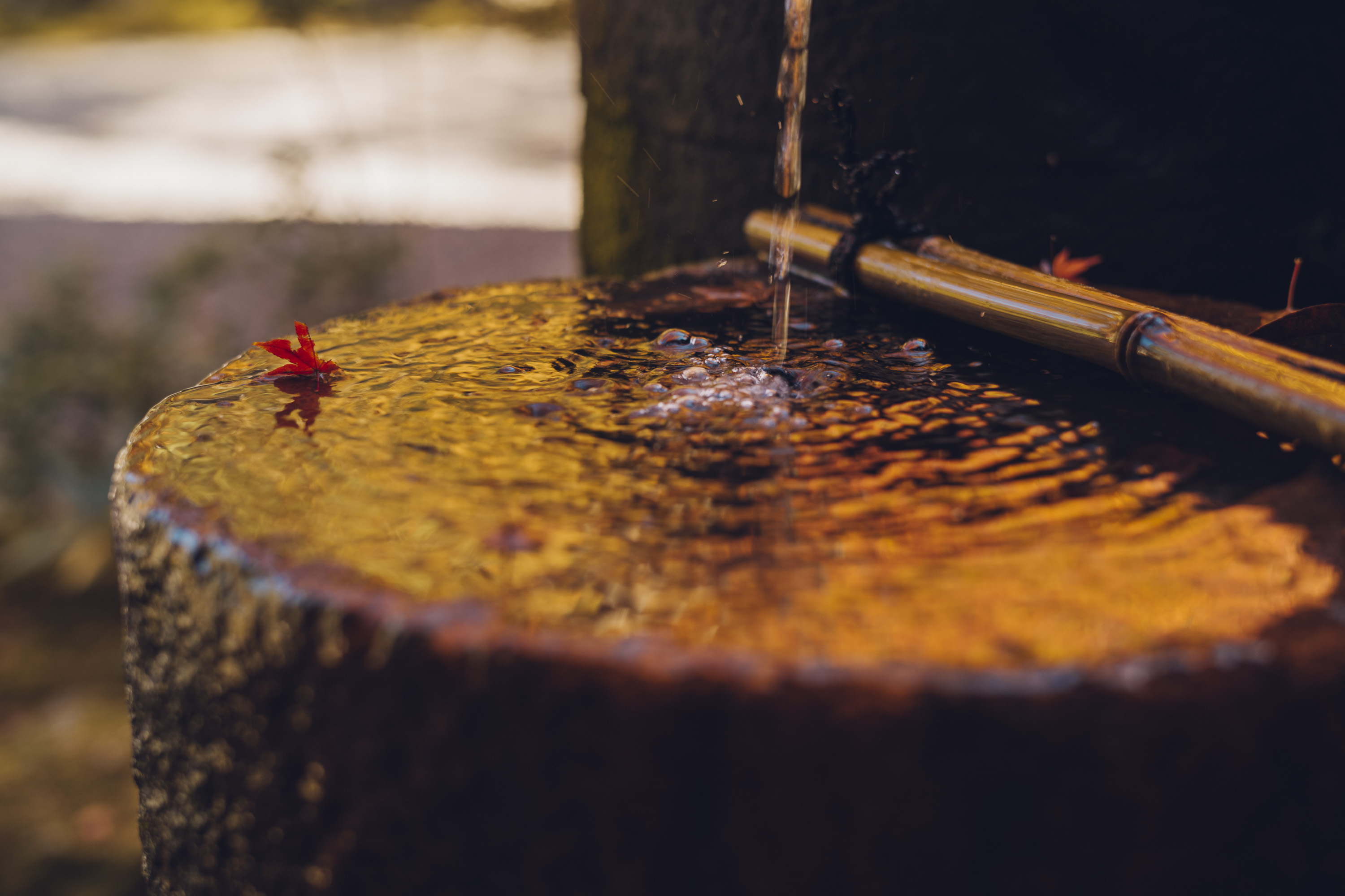 Kōdaiji Jūgyūan의 대표사진