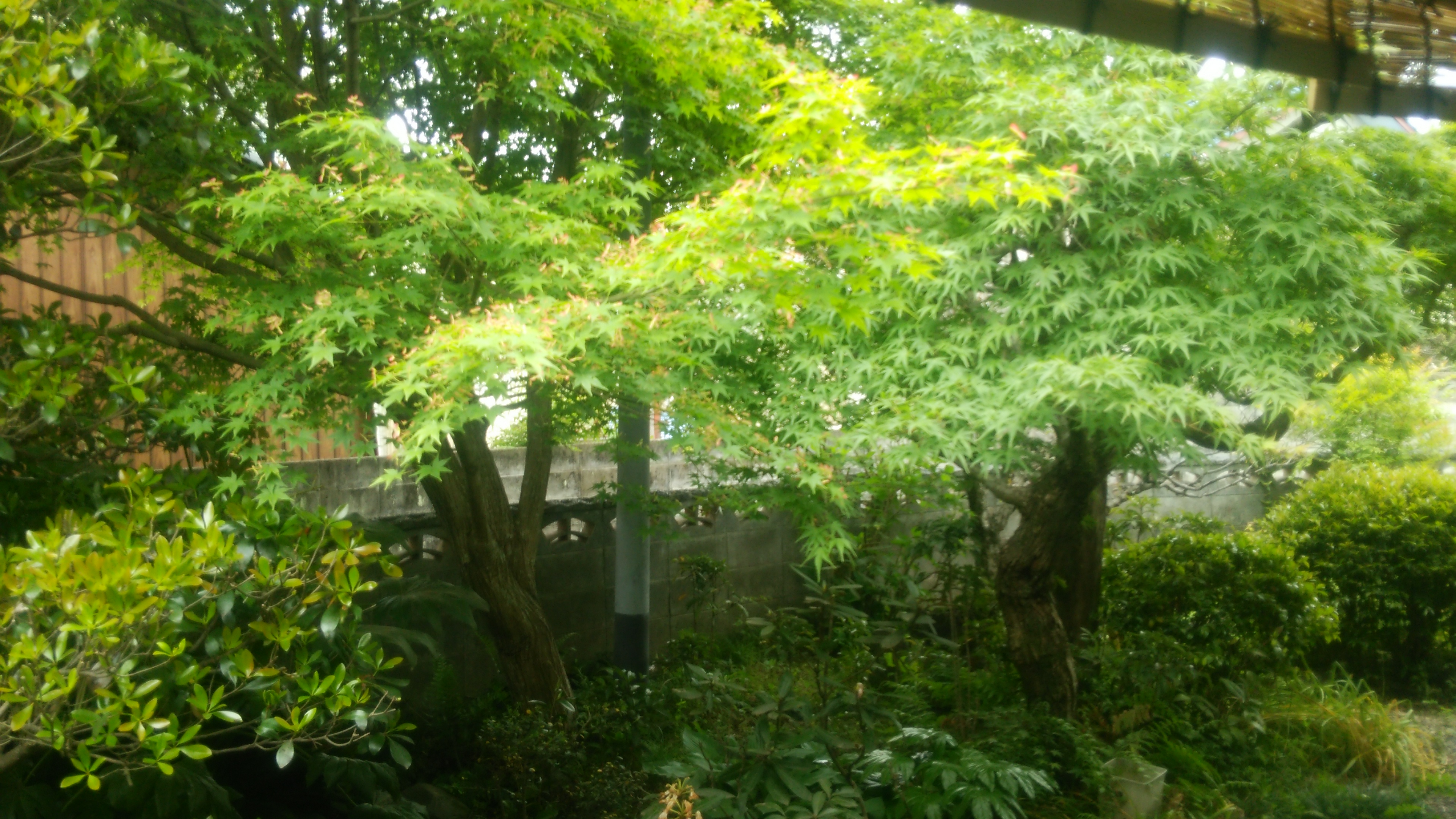 랑쿠jp 음식점-麩屋氏助의 대표이미지