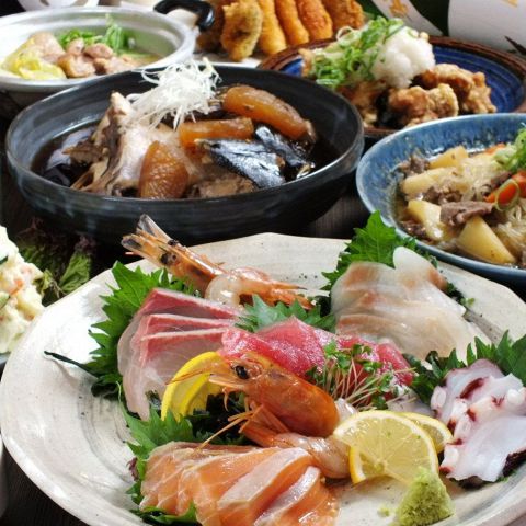 Kansha Kangei의 대표사진