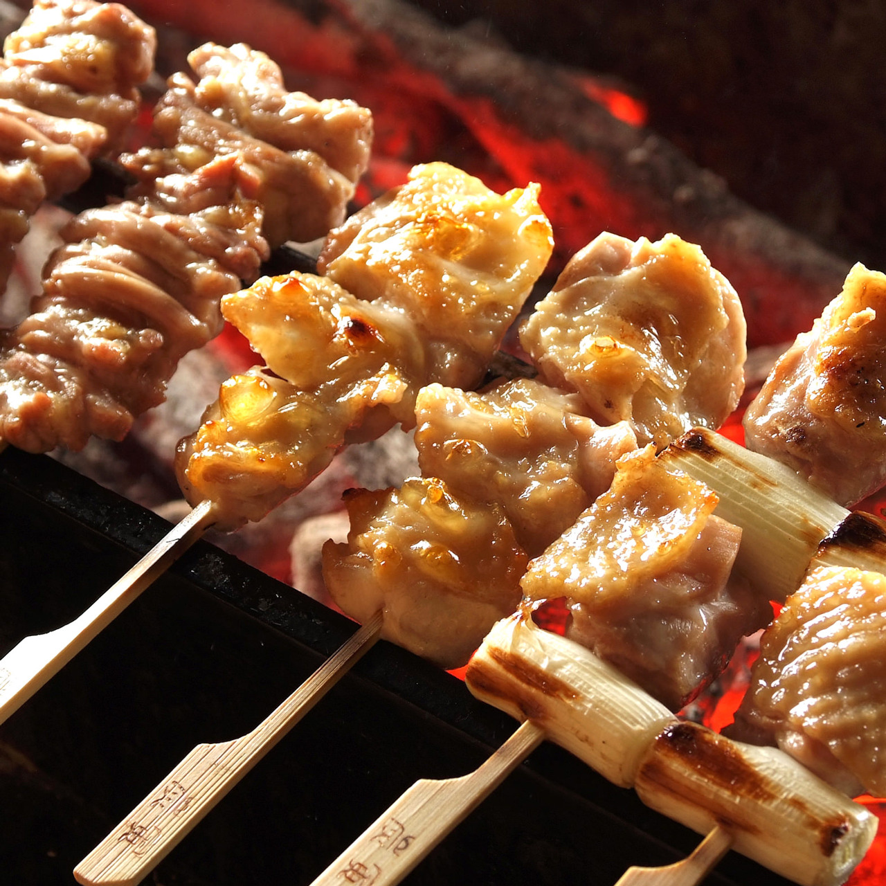 Hinakko Tosuten의 대표사진