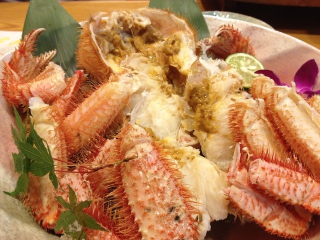 Shimizu의 대표 이미지