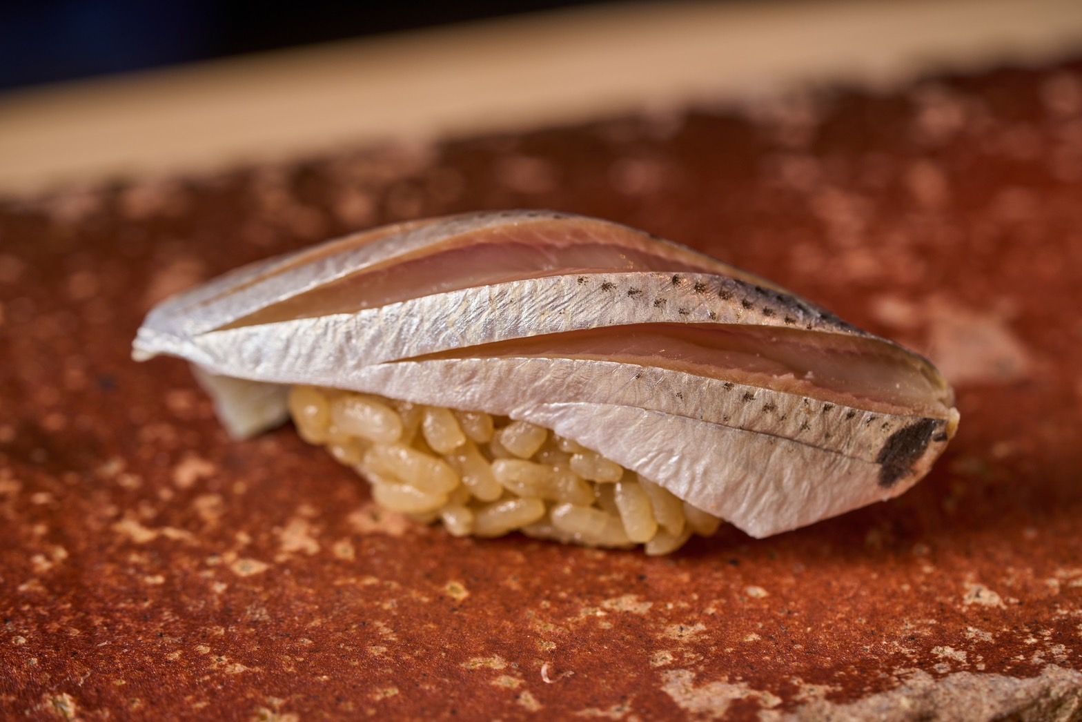 Sushi Ayase의 대표사진