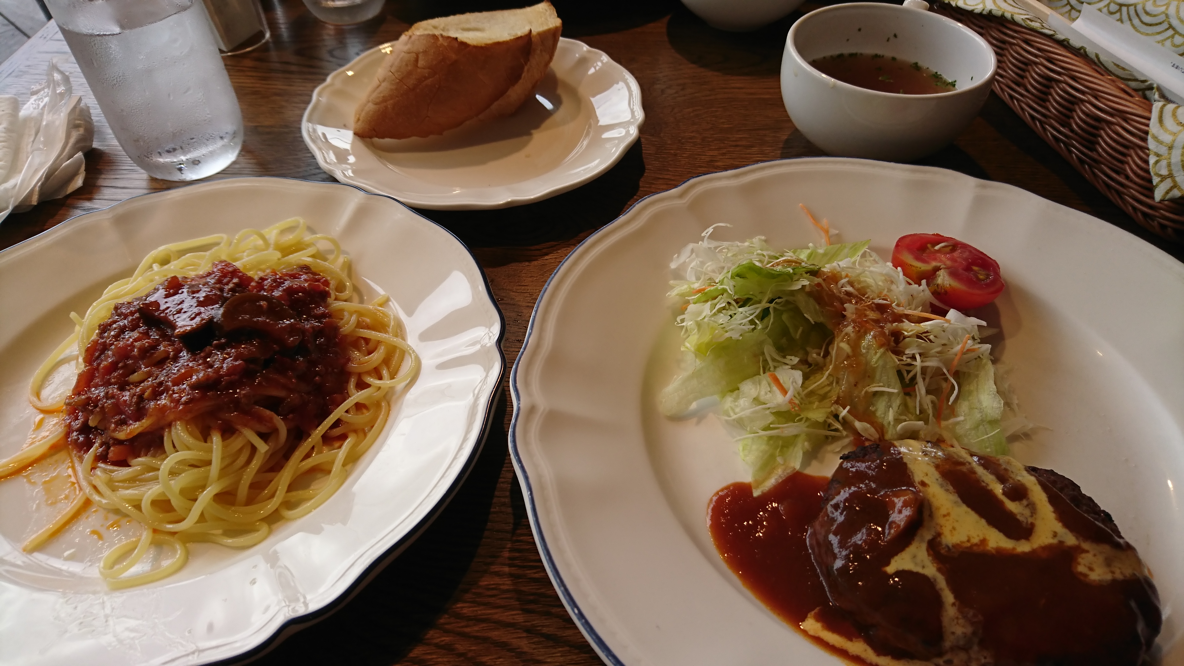 Camphora의 대표사진