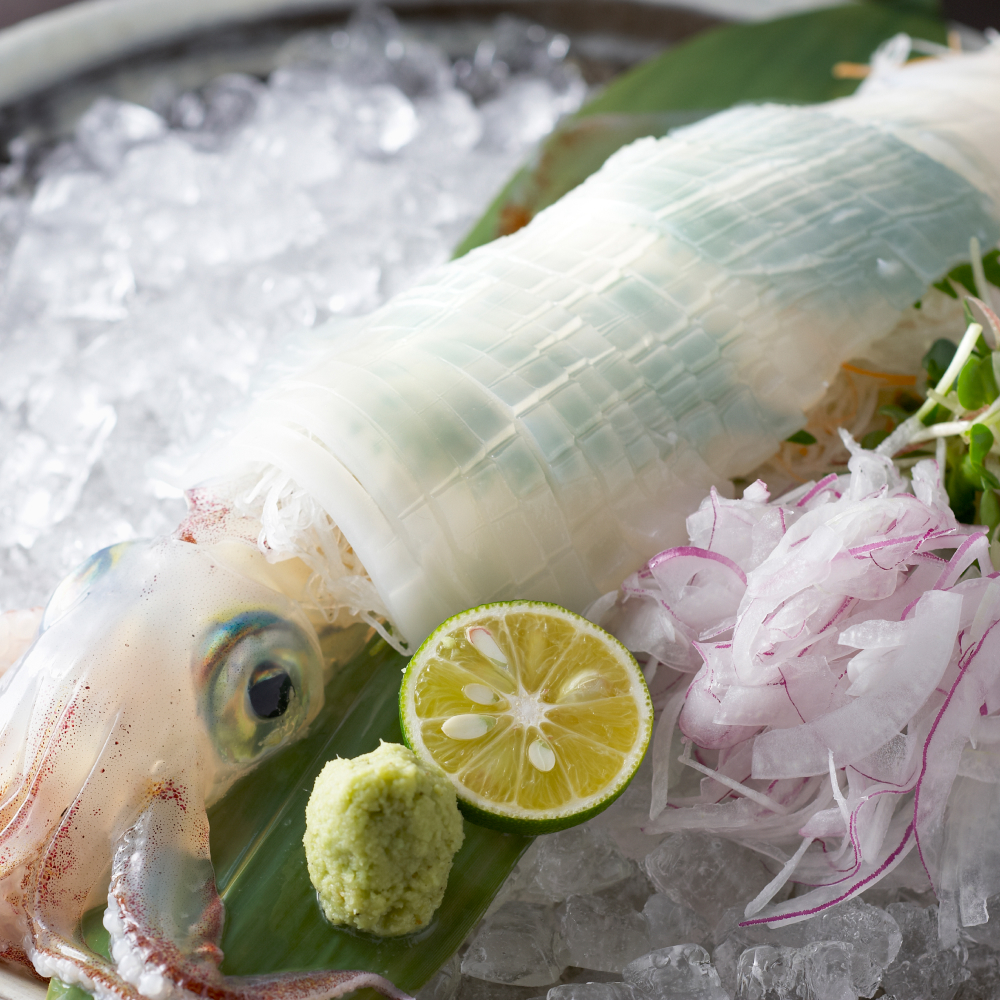 Hakatarou의 대표사진