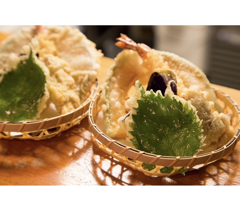 Shikisai의 대표사진