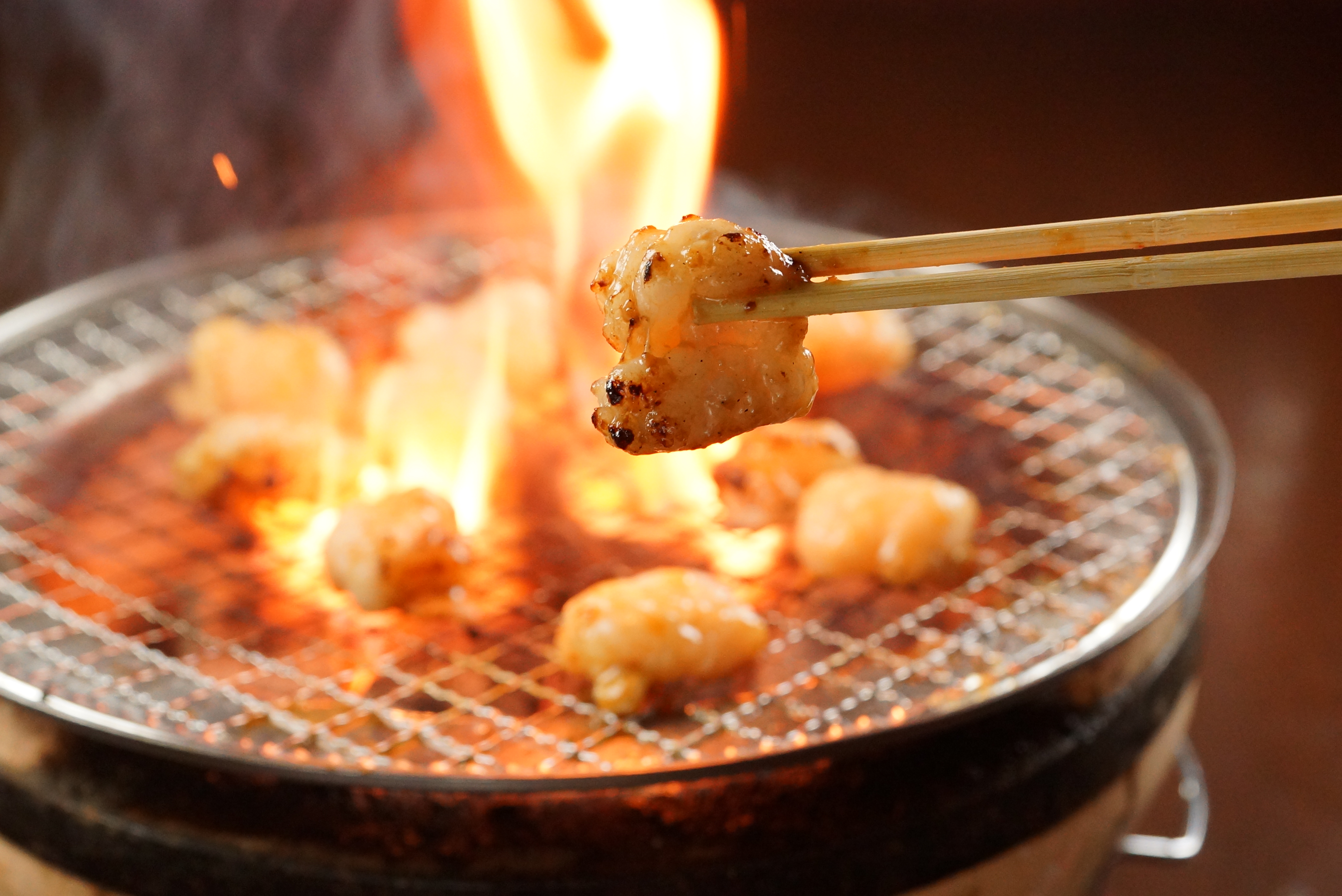 Hanazono-sakaba Jonetsuhorumon의 대표사진