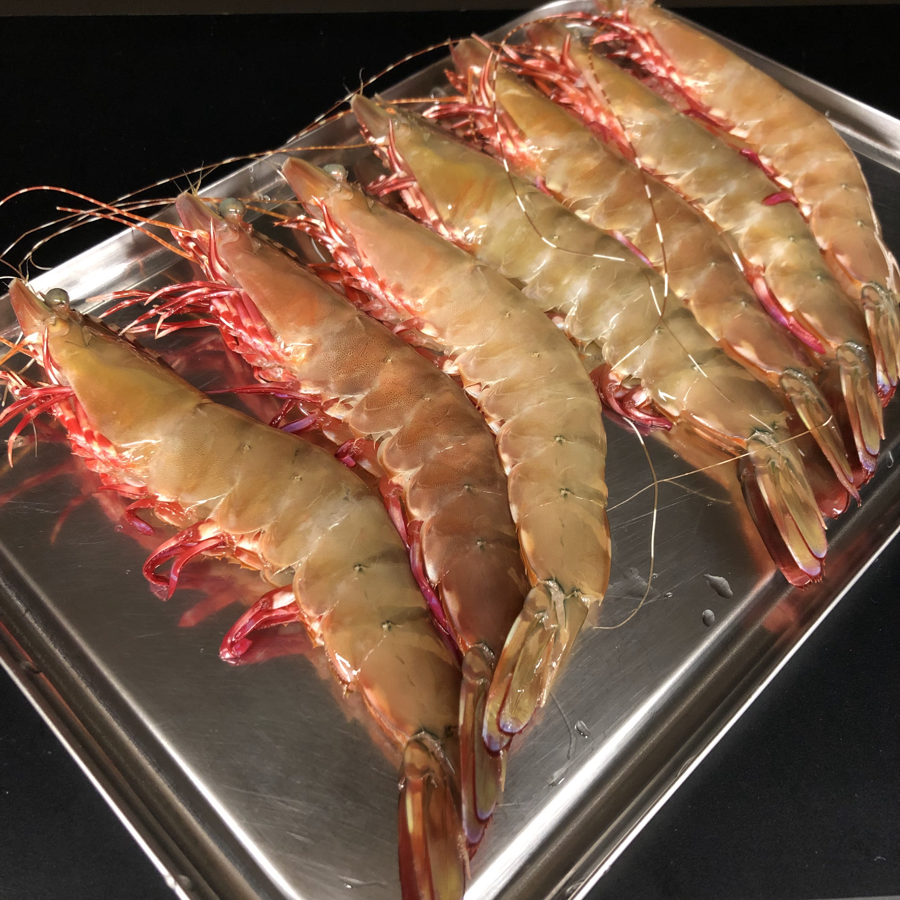 Yoake의 대표사진