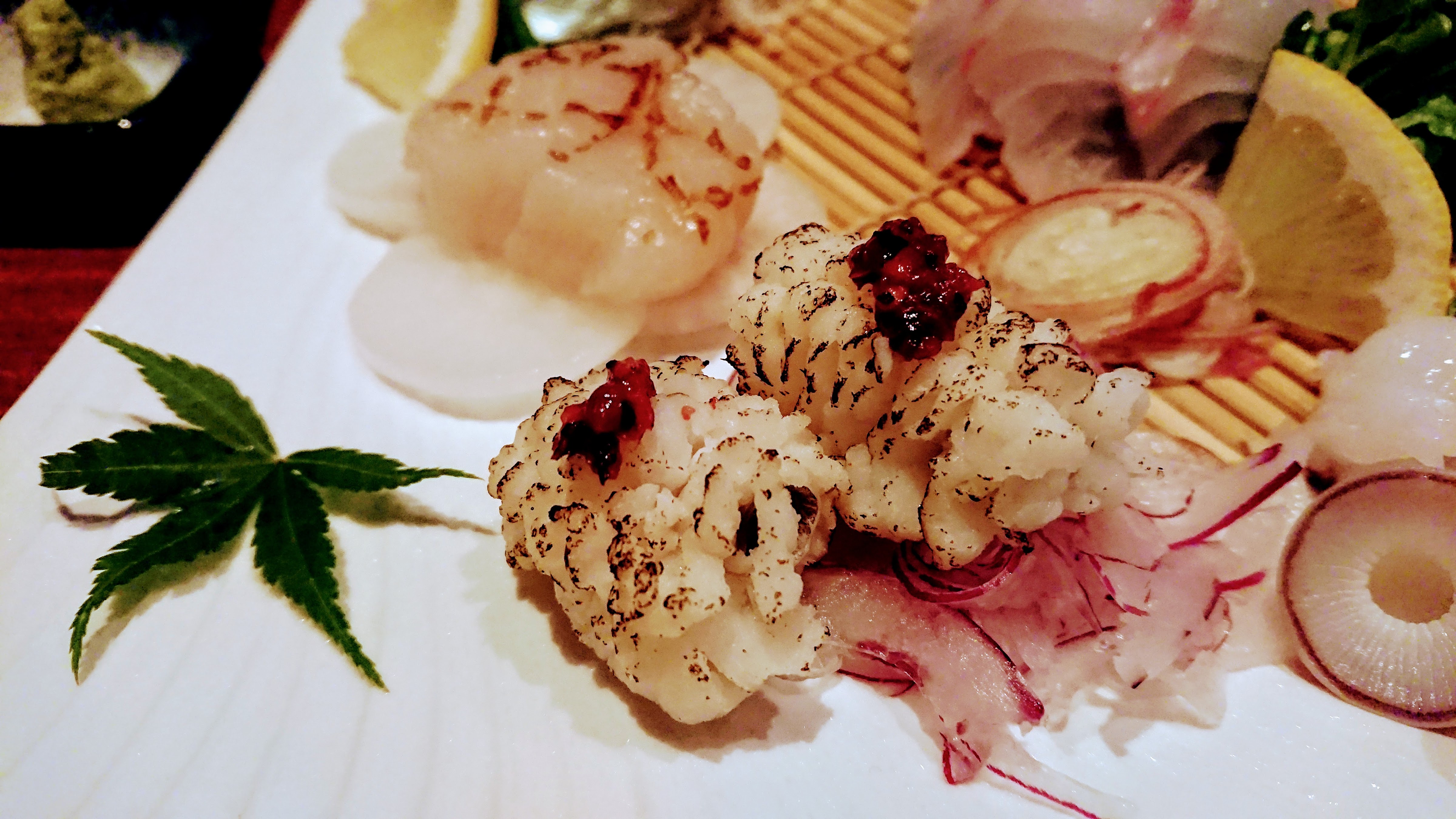 しん寅゛의 대표사진