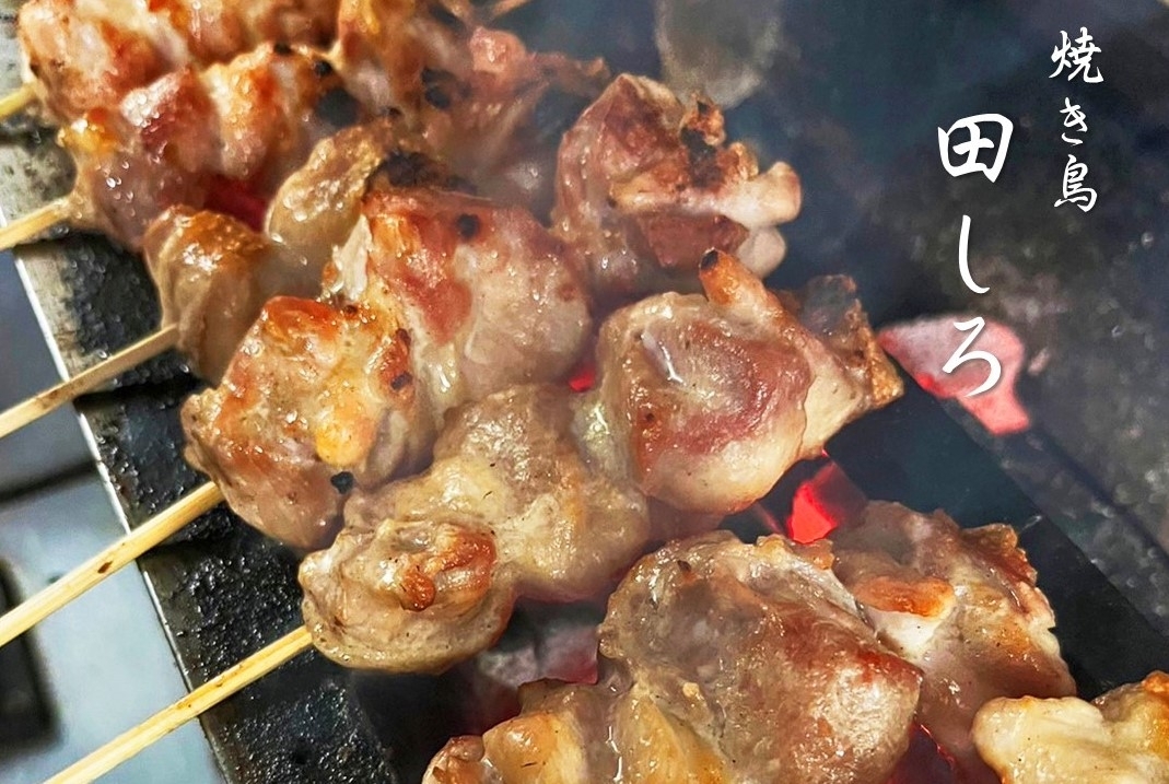 焼き鳥田しろ의 대표사진