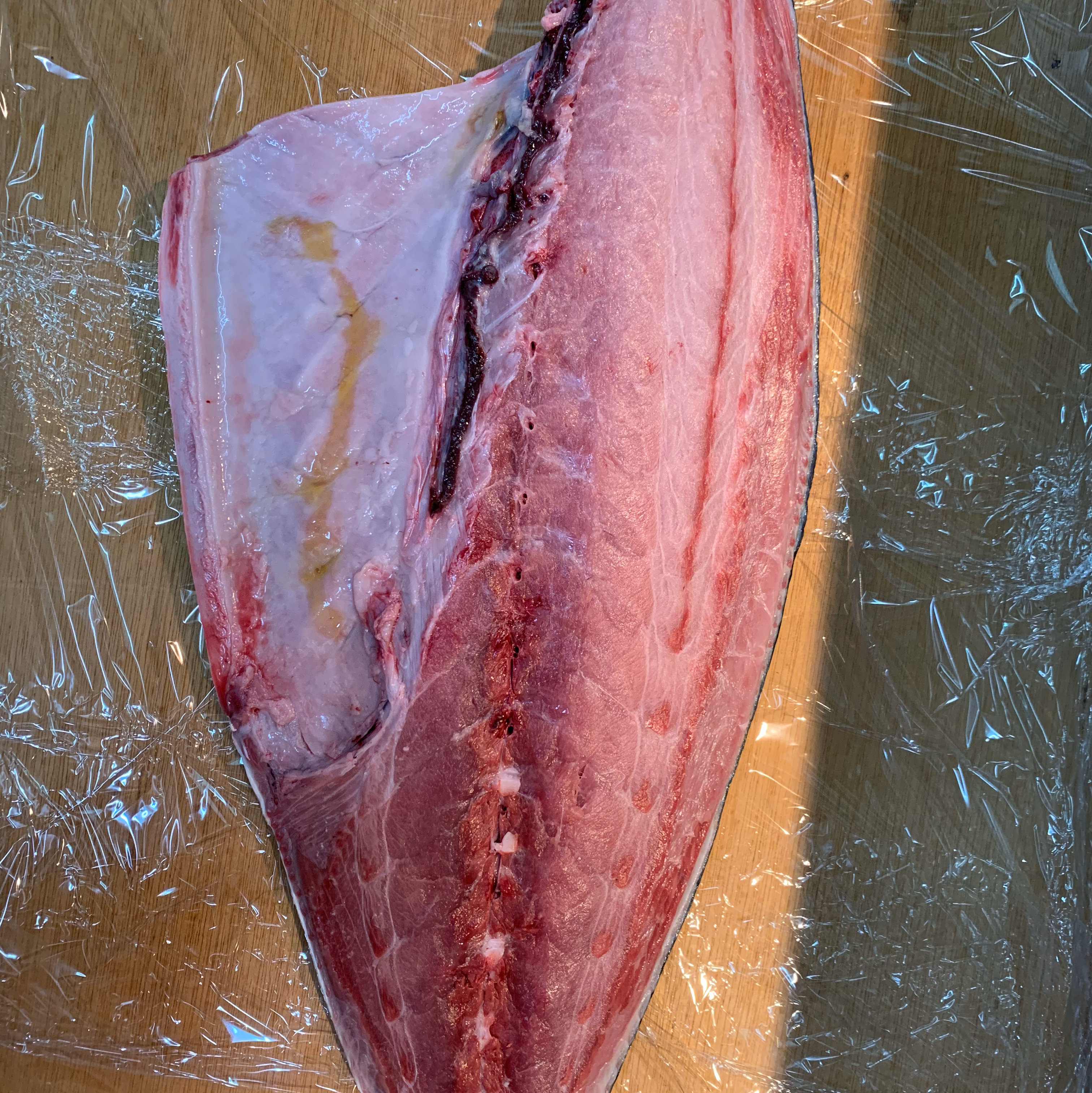 Sushi Kappo Gen Sushi의 대표사진