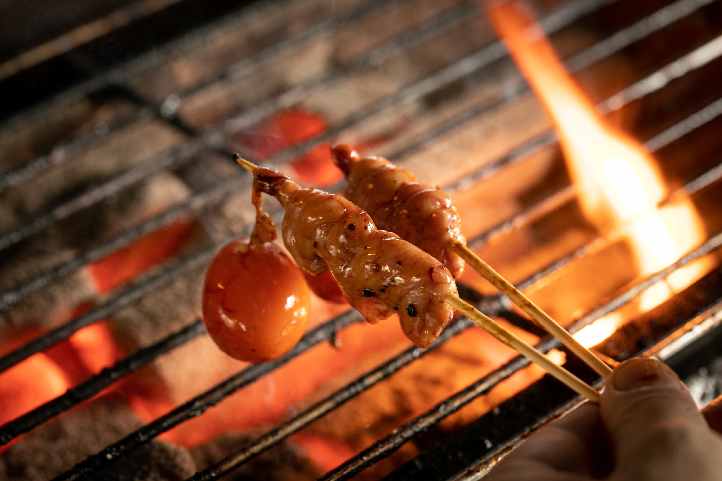 大山鶏のやきとり 炭の屋의 대표 이미지
