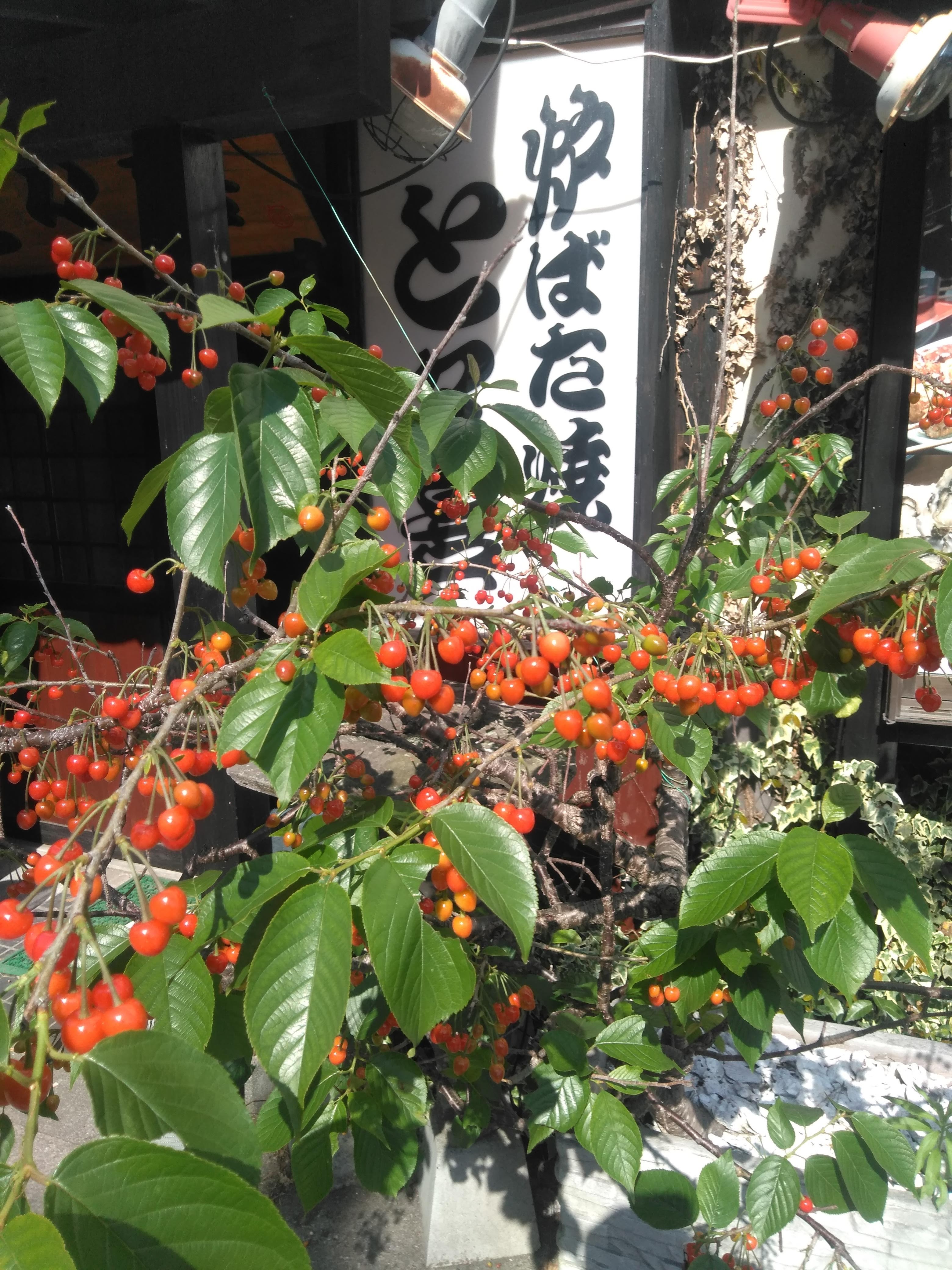 と々喜의 대표사진