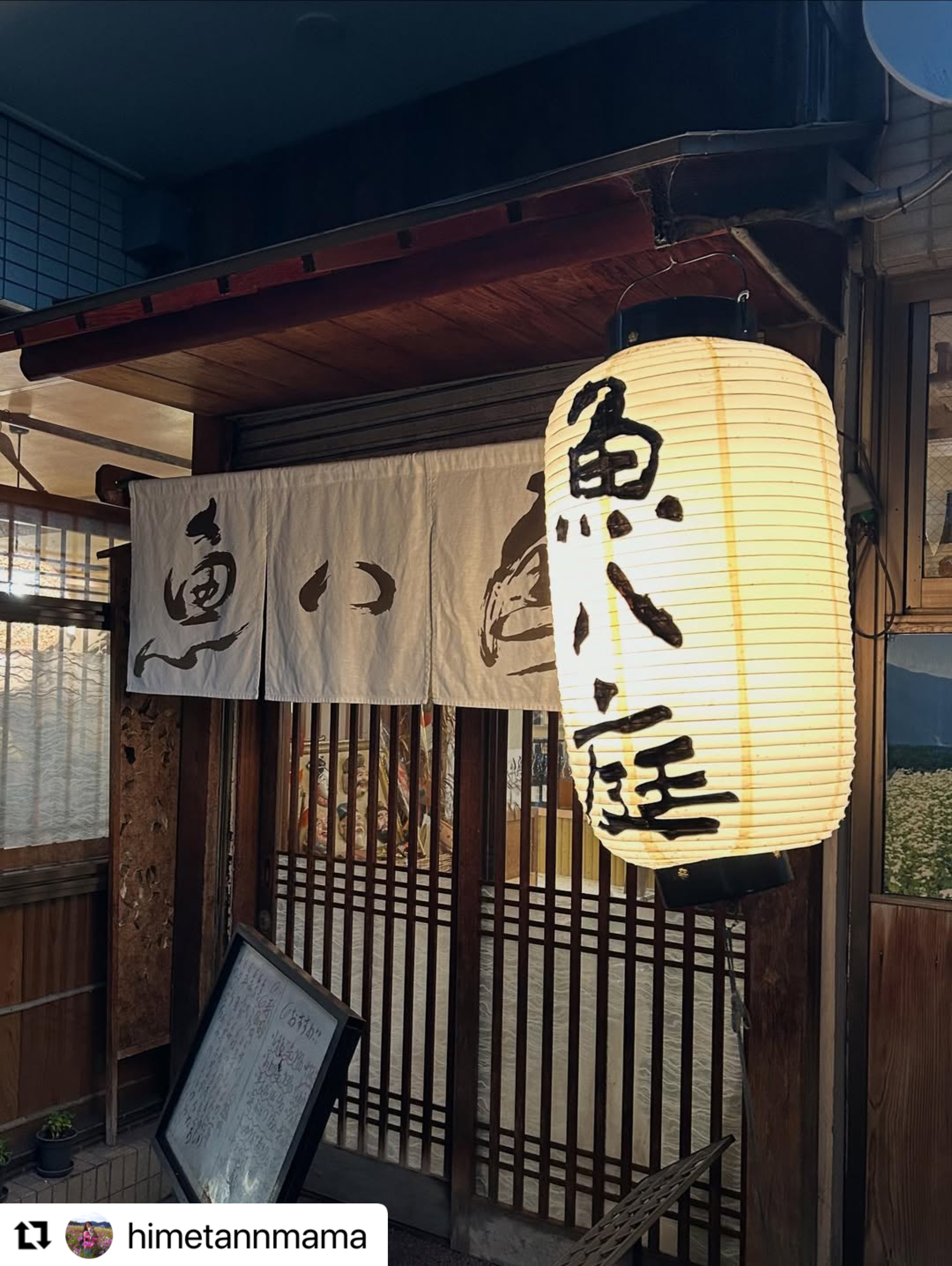 魚八庭의 대표사진