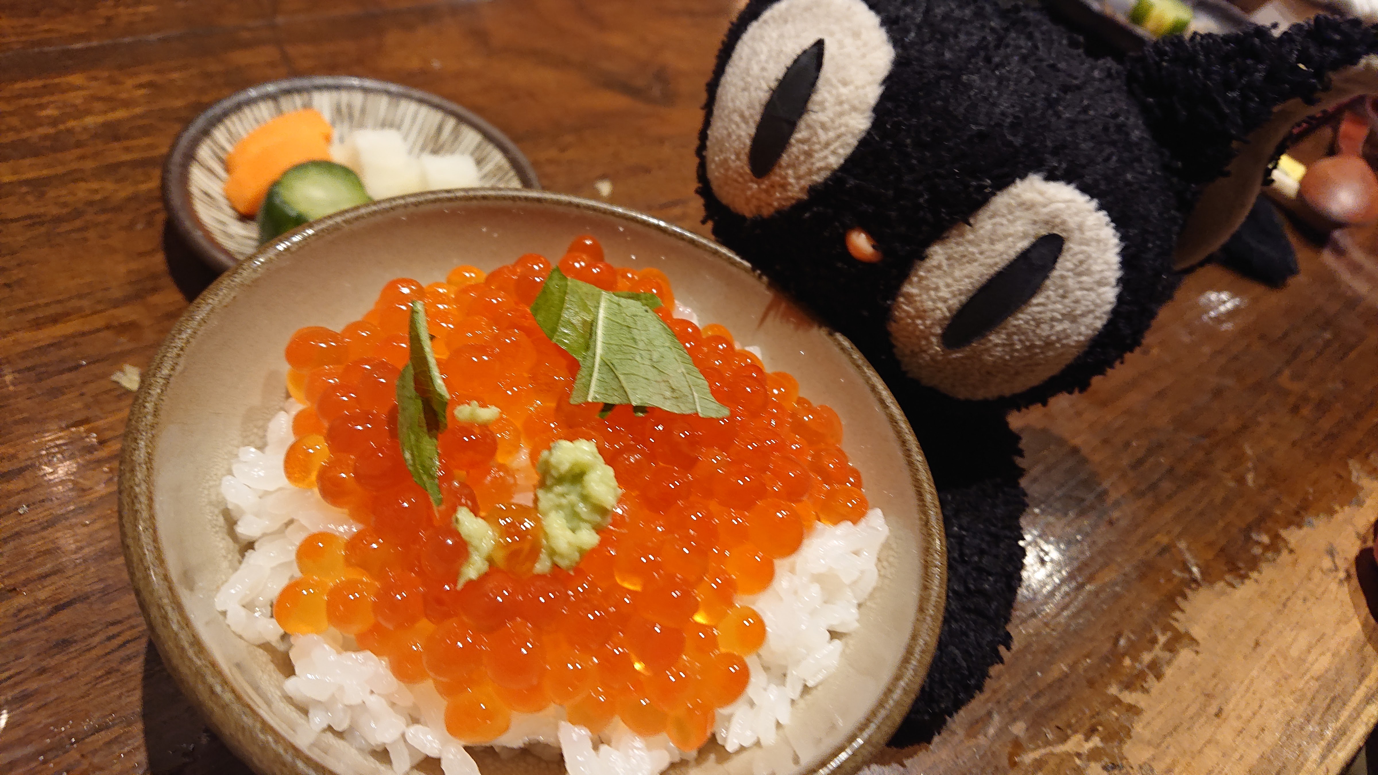 아카사카 코미깡의 대표사진