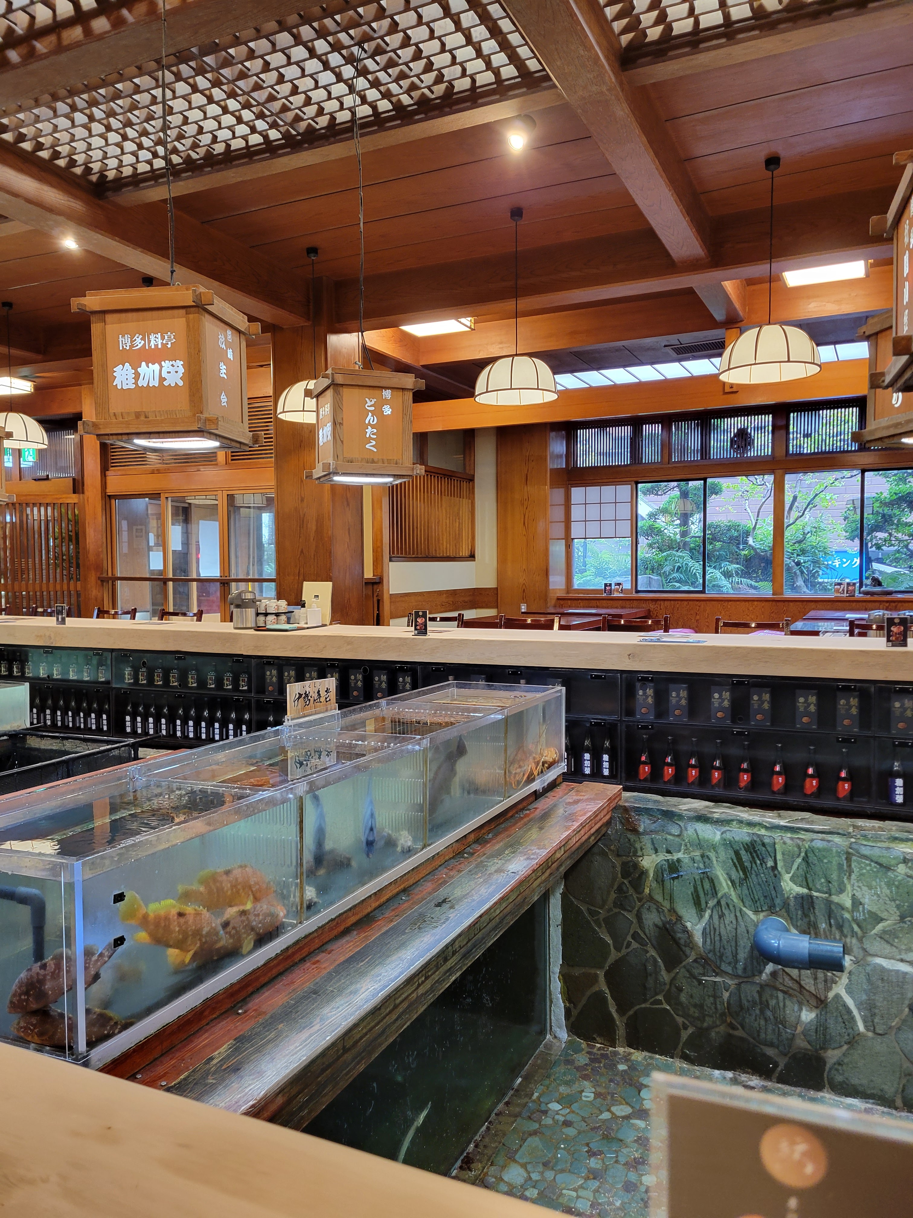 치카에의 대표사진