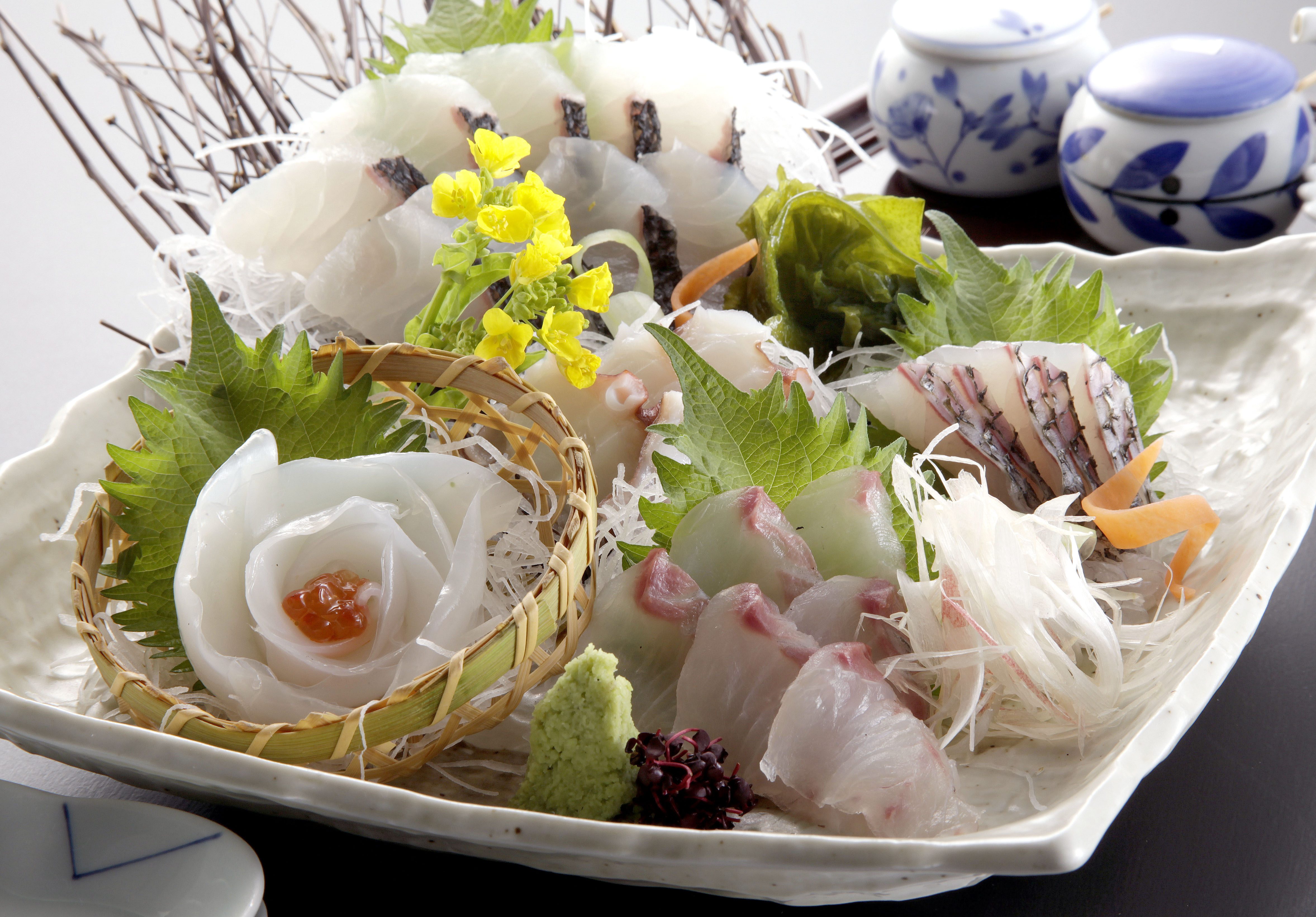 Senta의 대표사진