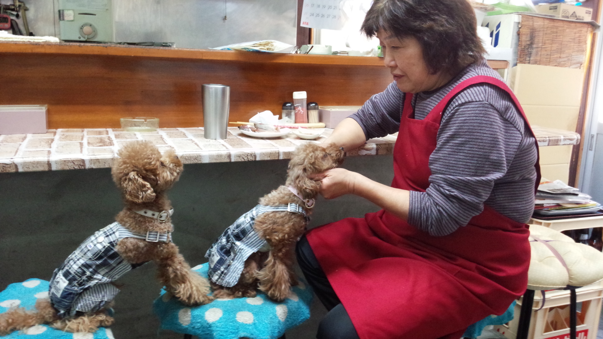 Kisaku의 대표 이미지