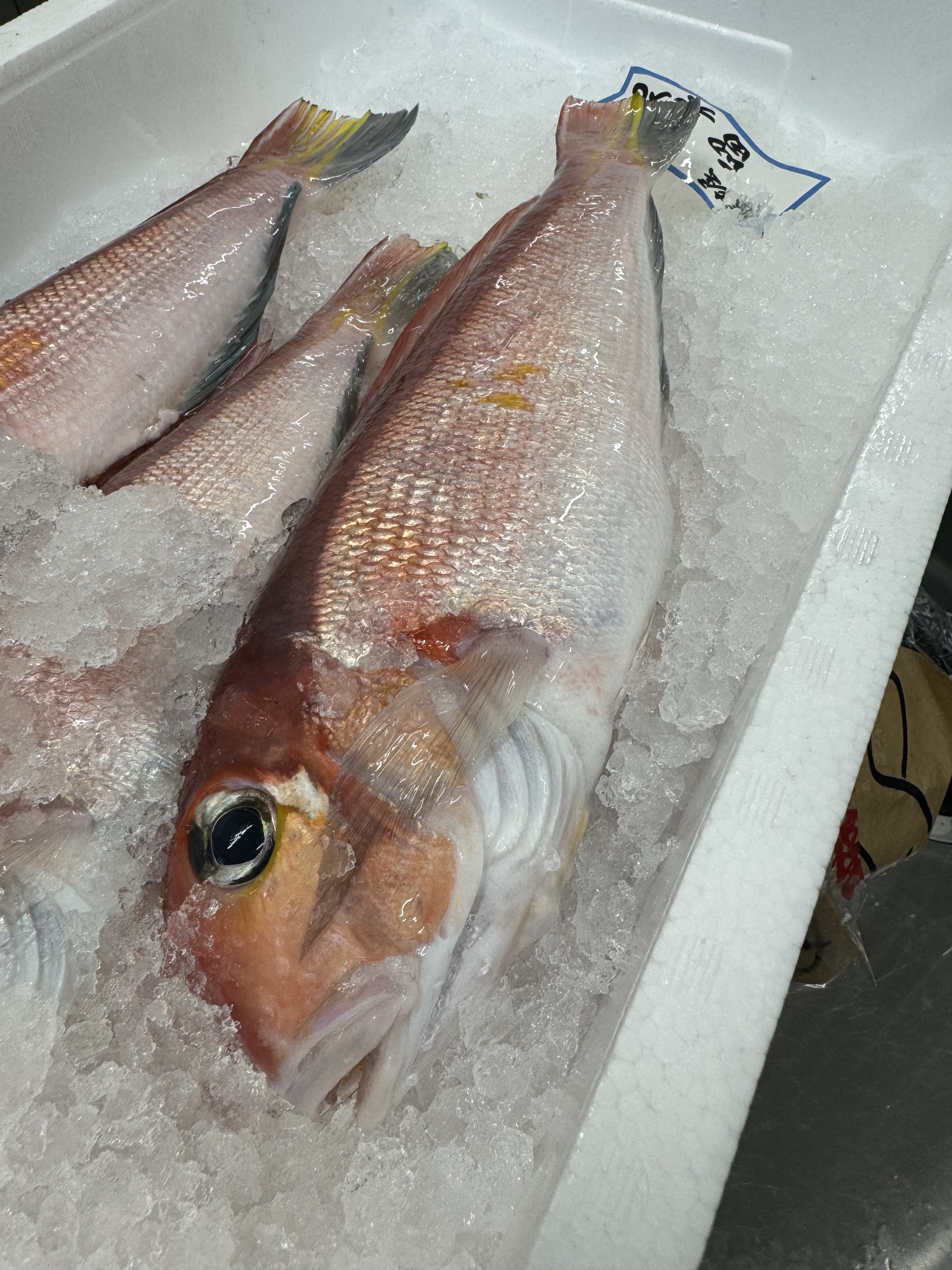 랑쿠jp 음식점-お魚定食 朝げ屋 大村店의 대표이미지