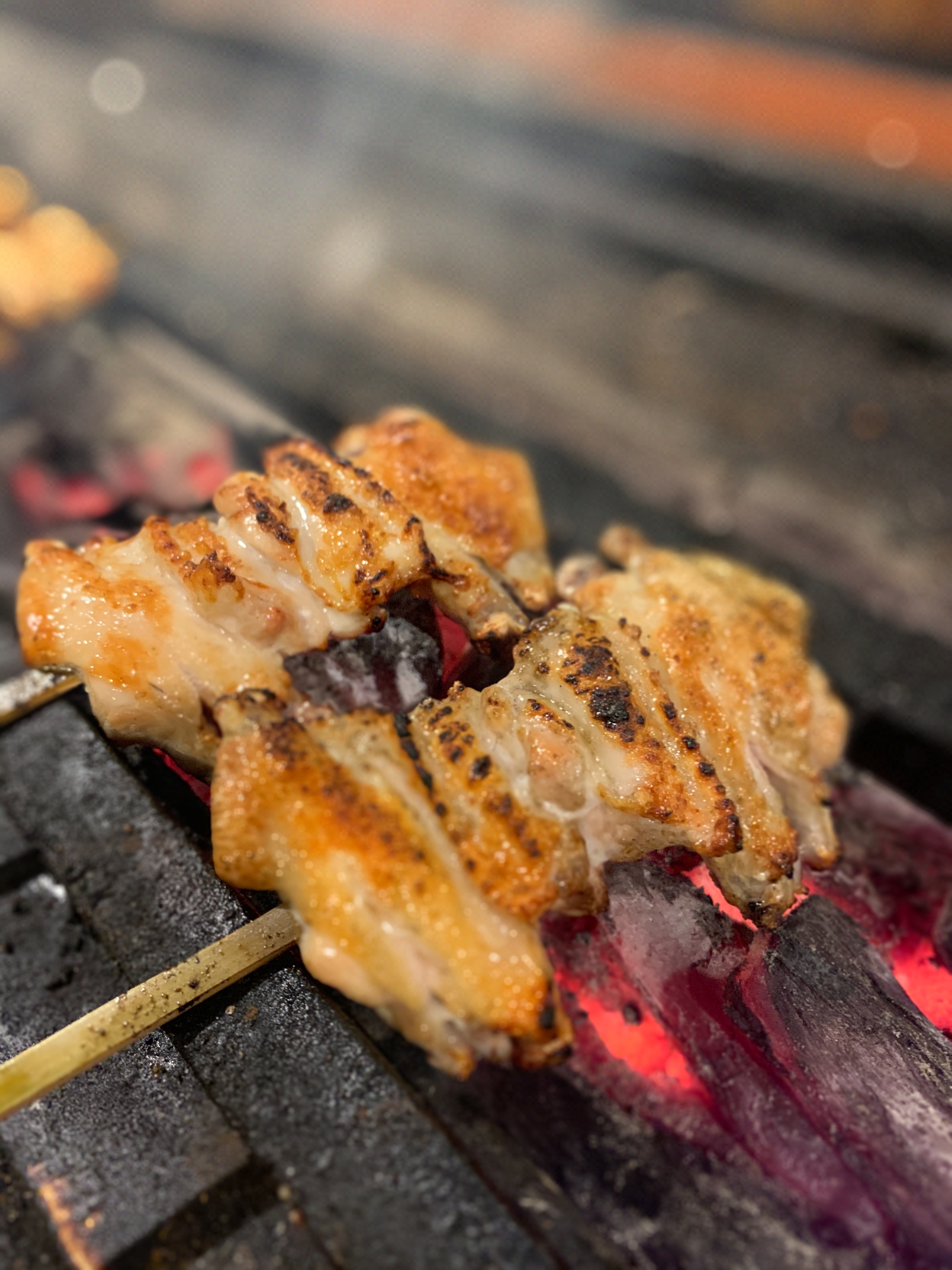 Kushinosuke의 대표 이미지