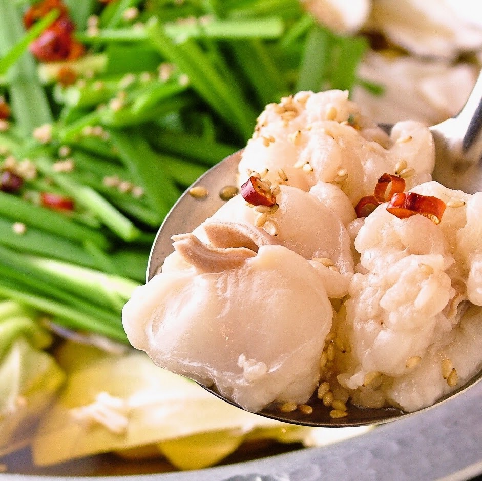 Yokobachi의 대표 이미지