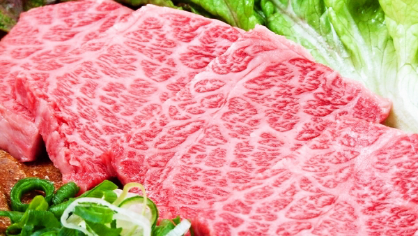 Jujuan Kyobashi의 대표사진