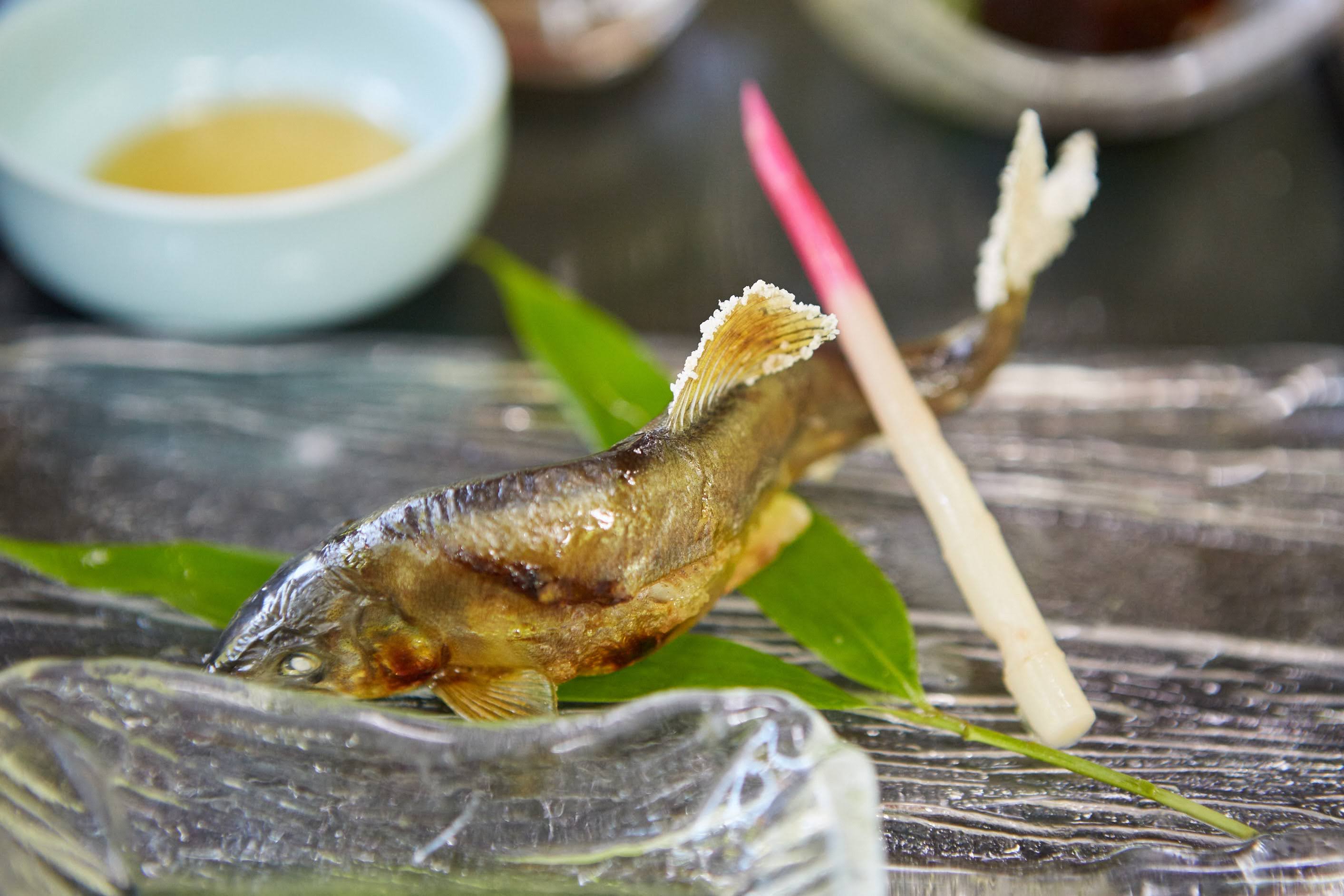 랑쿠jp 음식점-Togano Chaya의 대표이미지