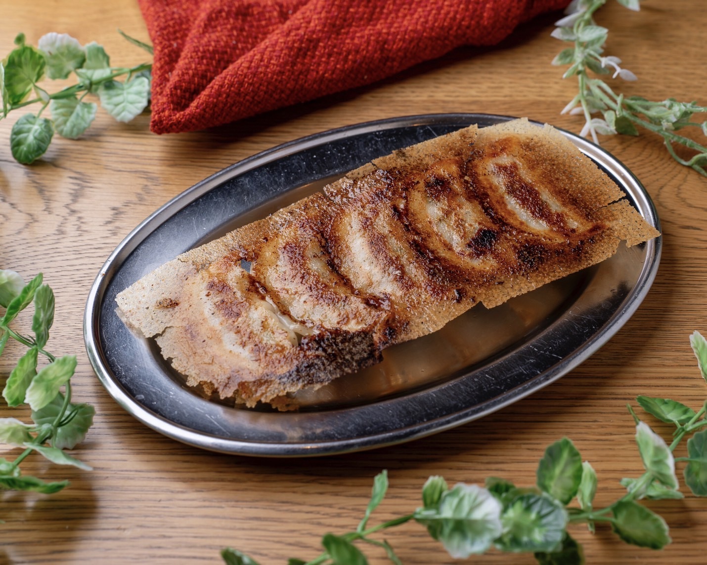 랑쿠jp 음식점-ぎょうざのみっちー天文館本店의 대표이미지