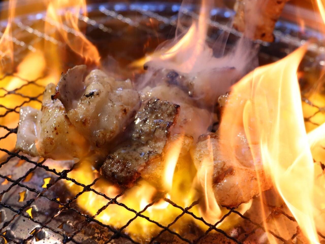 Yakitori Bon Hijiten의 대표사진