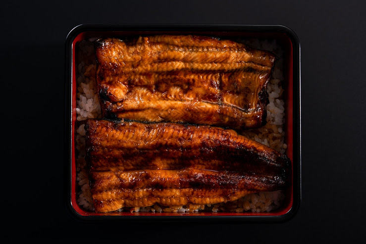 우나기 카이운의 대표사진