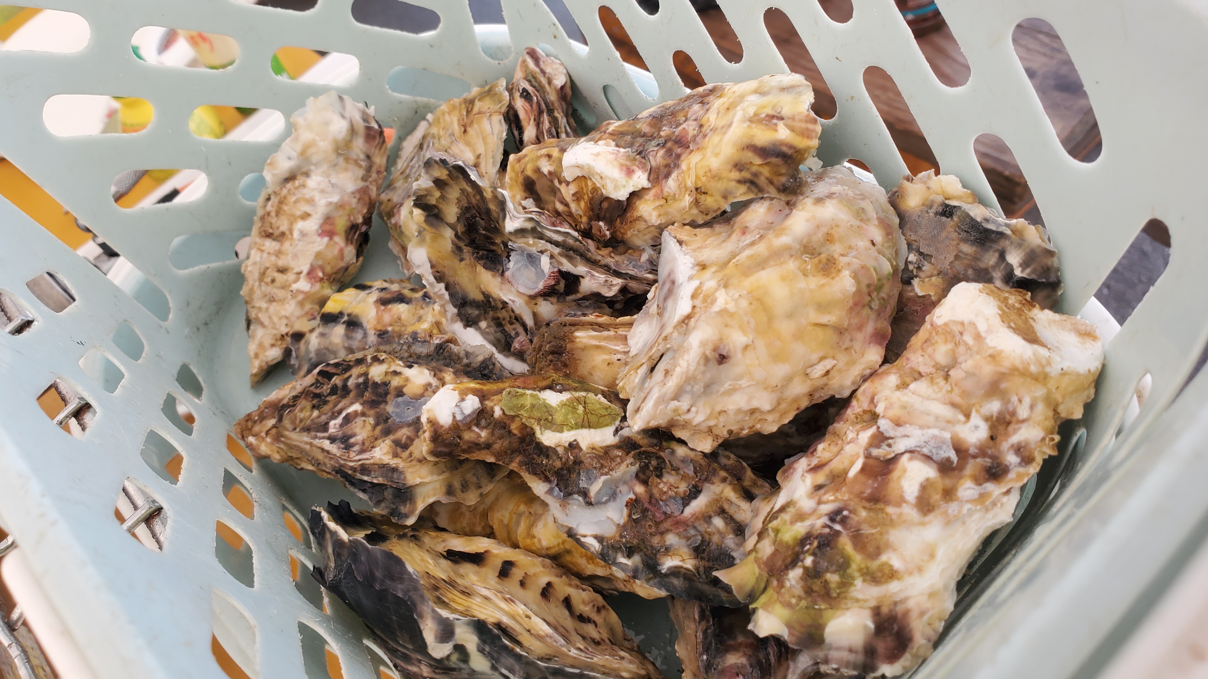 랑쿠jp 음식점-Kakinoabe Hiryumaru의 대표이미지