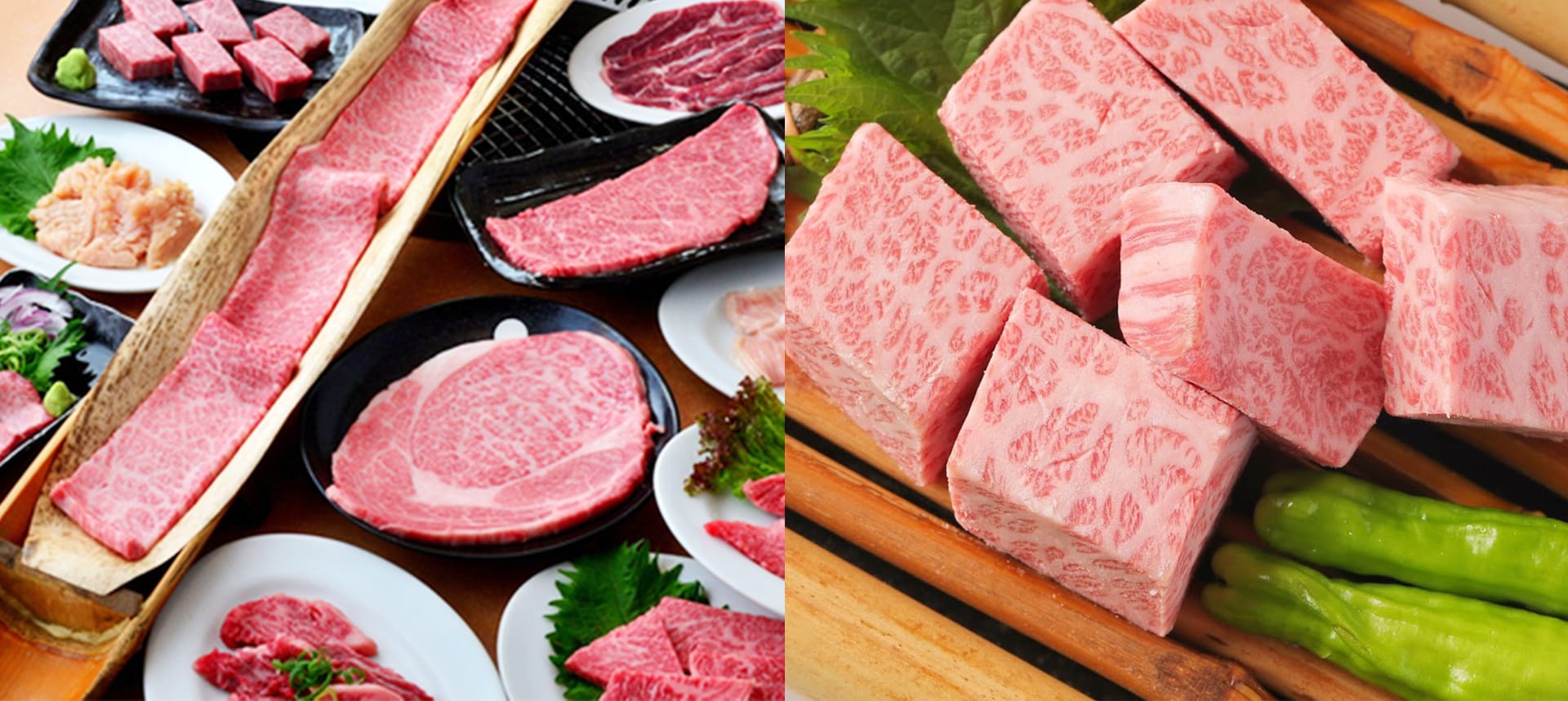 Manryo의 대표사진