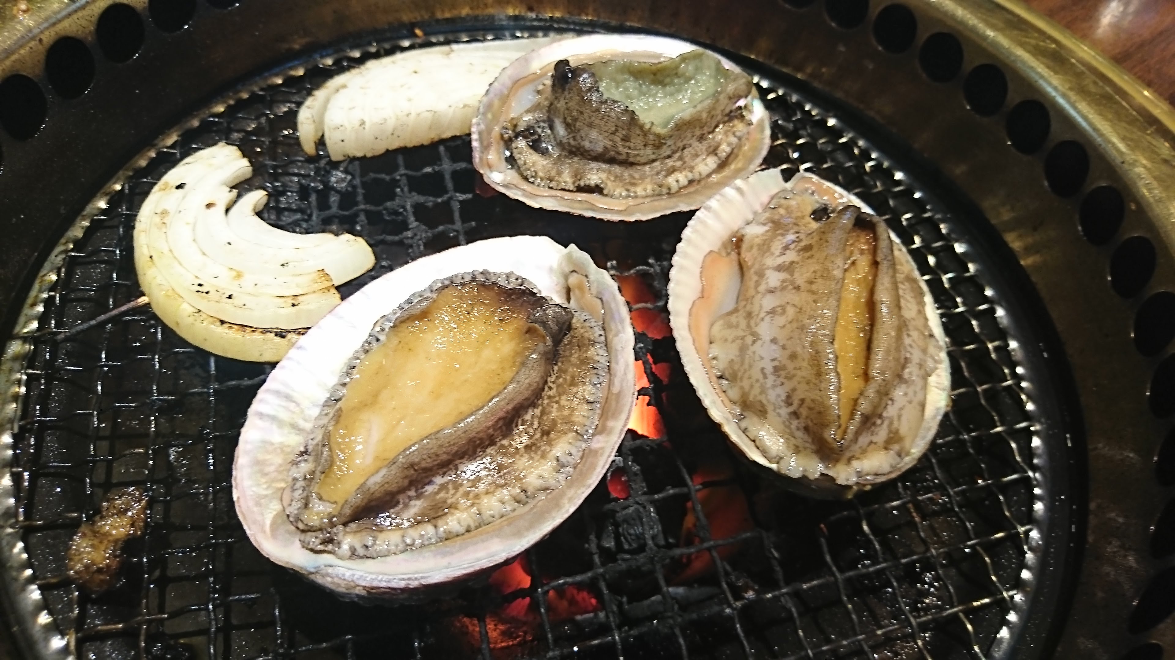 Sakata의 대표사진