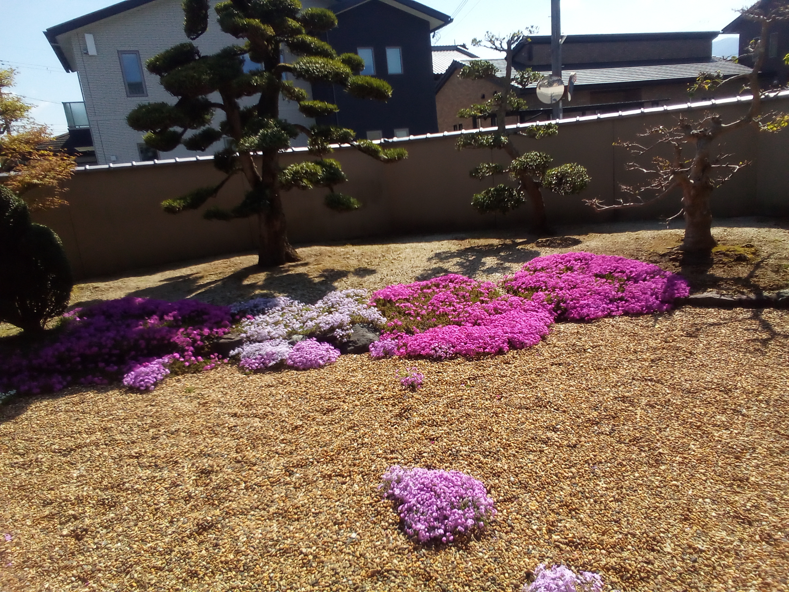 丸萬本家 帝塚山本店의 대표사진