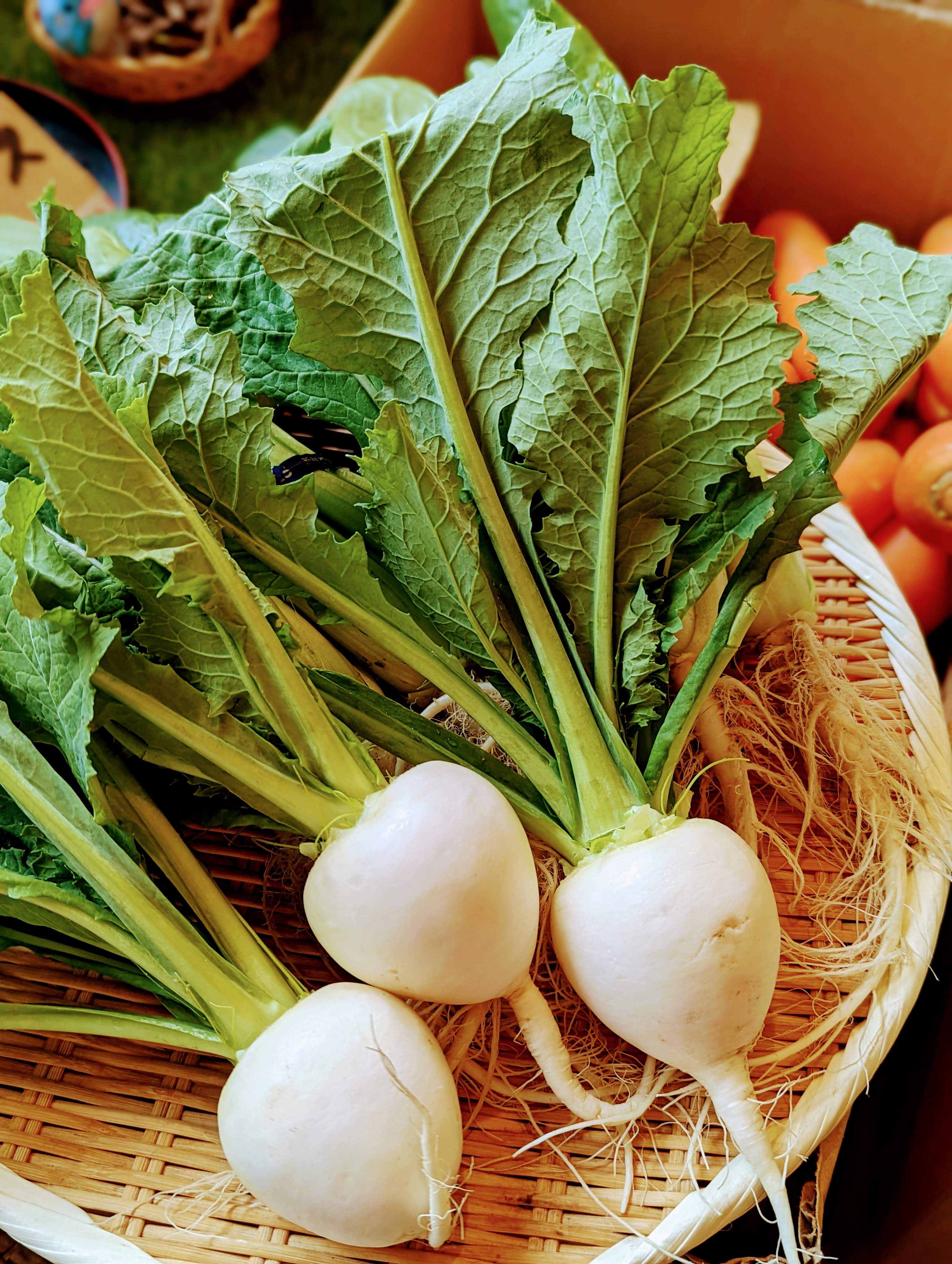 우라야의 대표사진