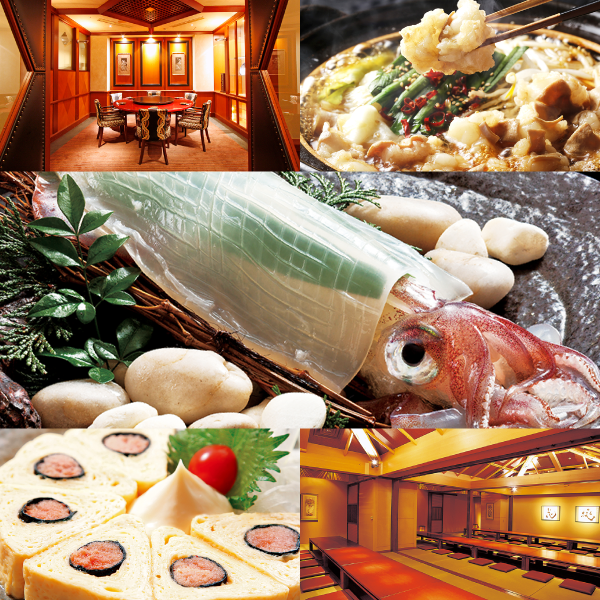 오젠야 이오리의 대표사진