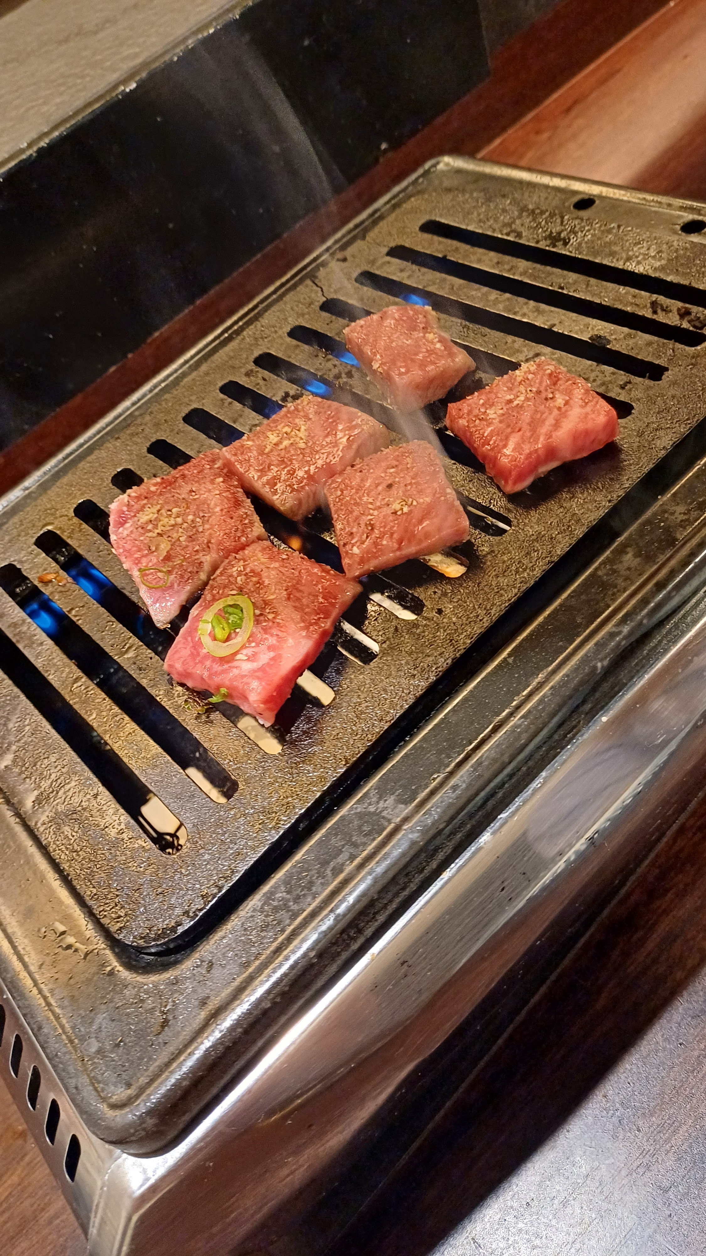 pontocho alley의 대표사진