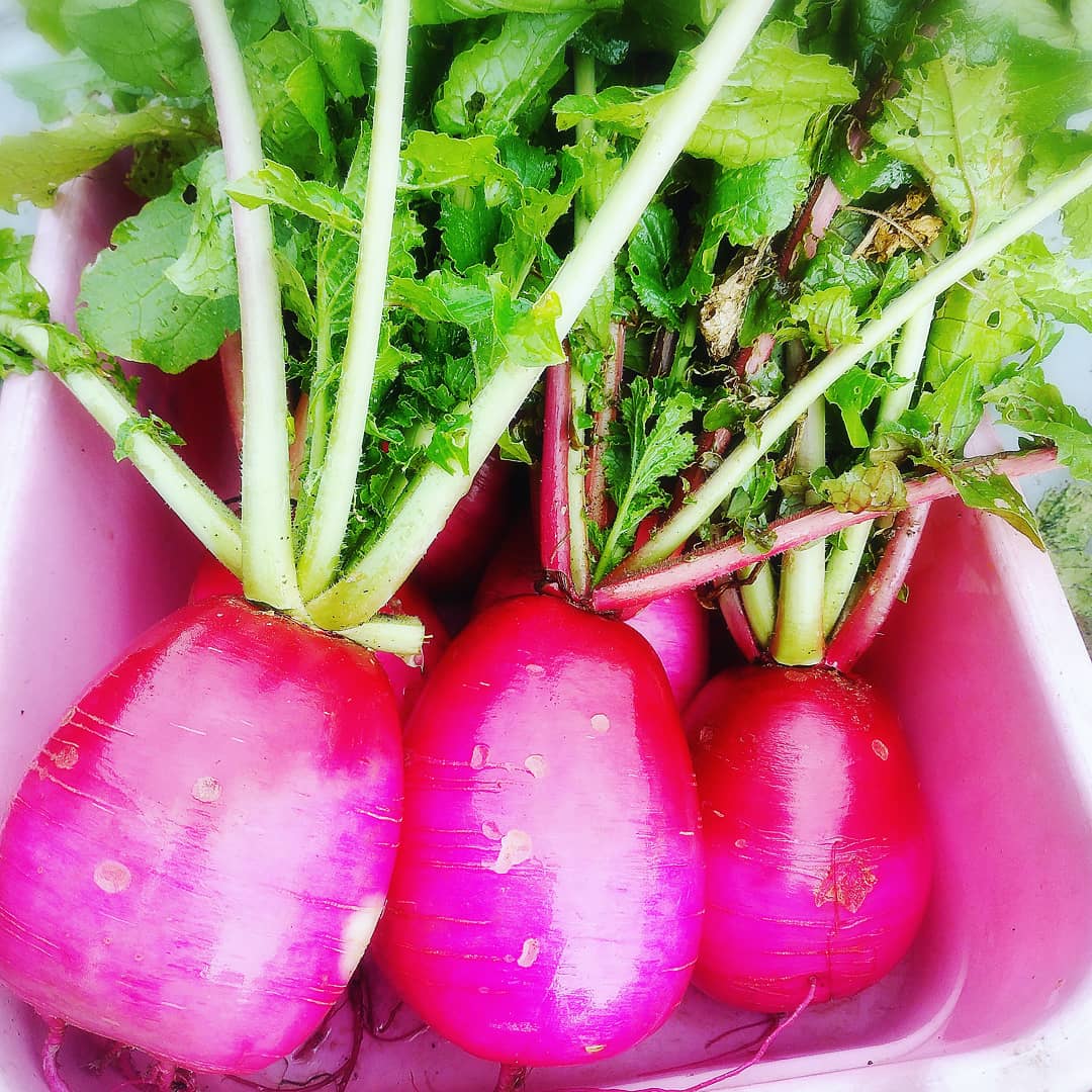 랑쿠jp 음식점-酒と飯 菜～sai～의 대표이미지