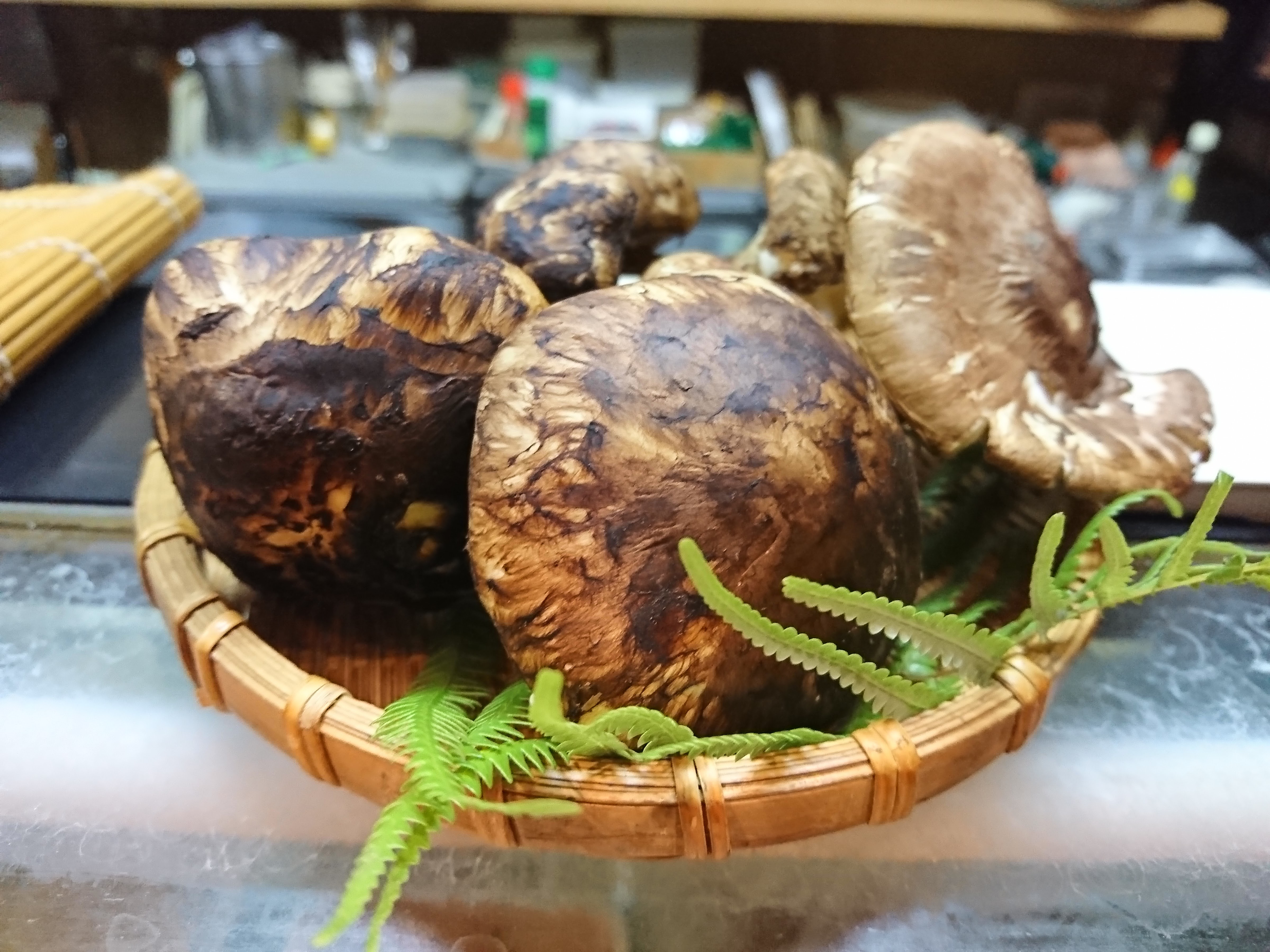 Ohno의 대표사진